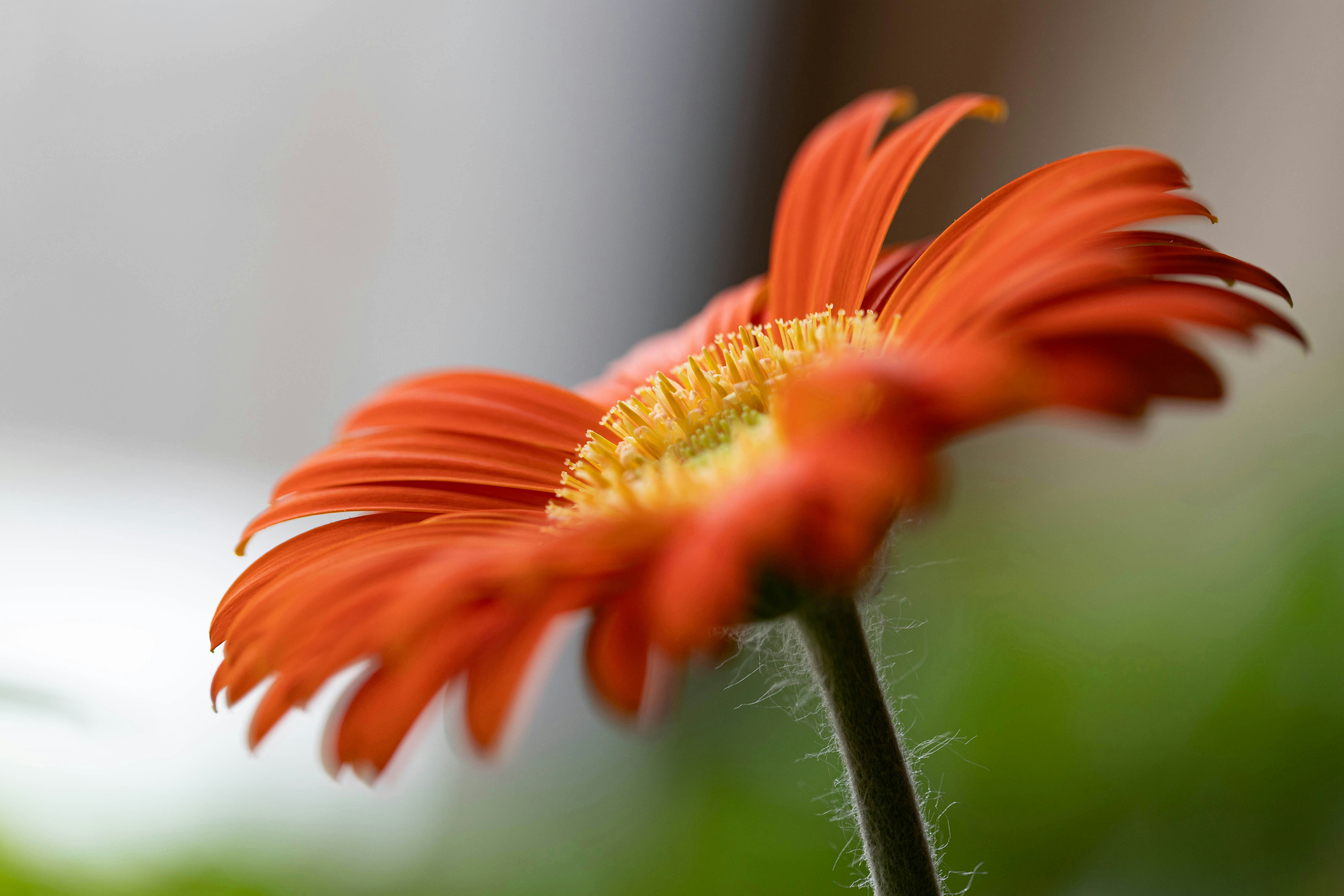 Photo by ipaintedthis88