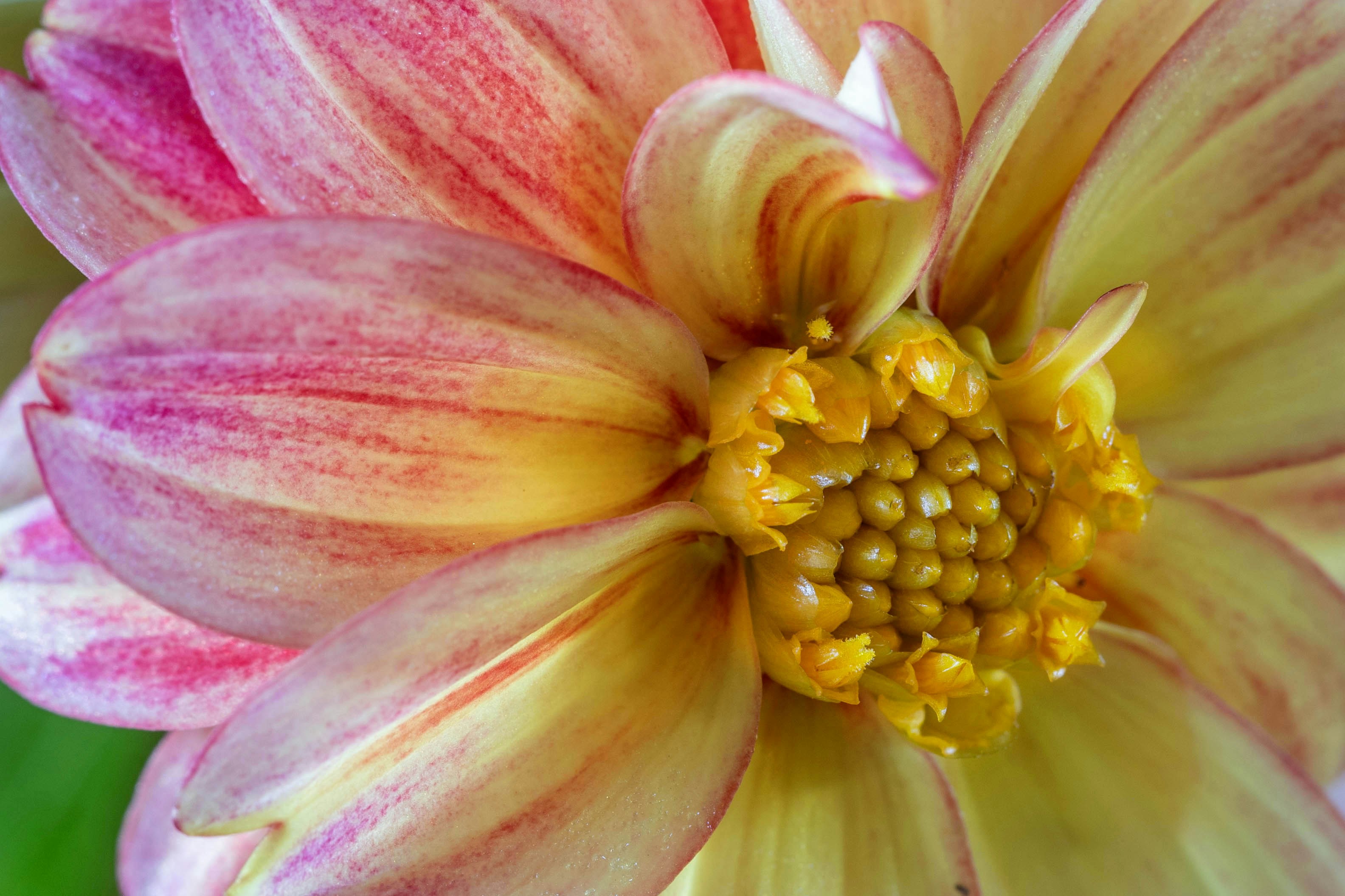 Photo by ipaintedthis88