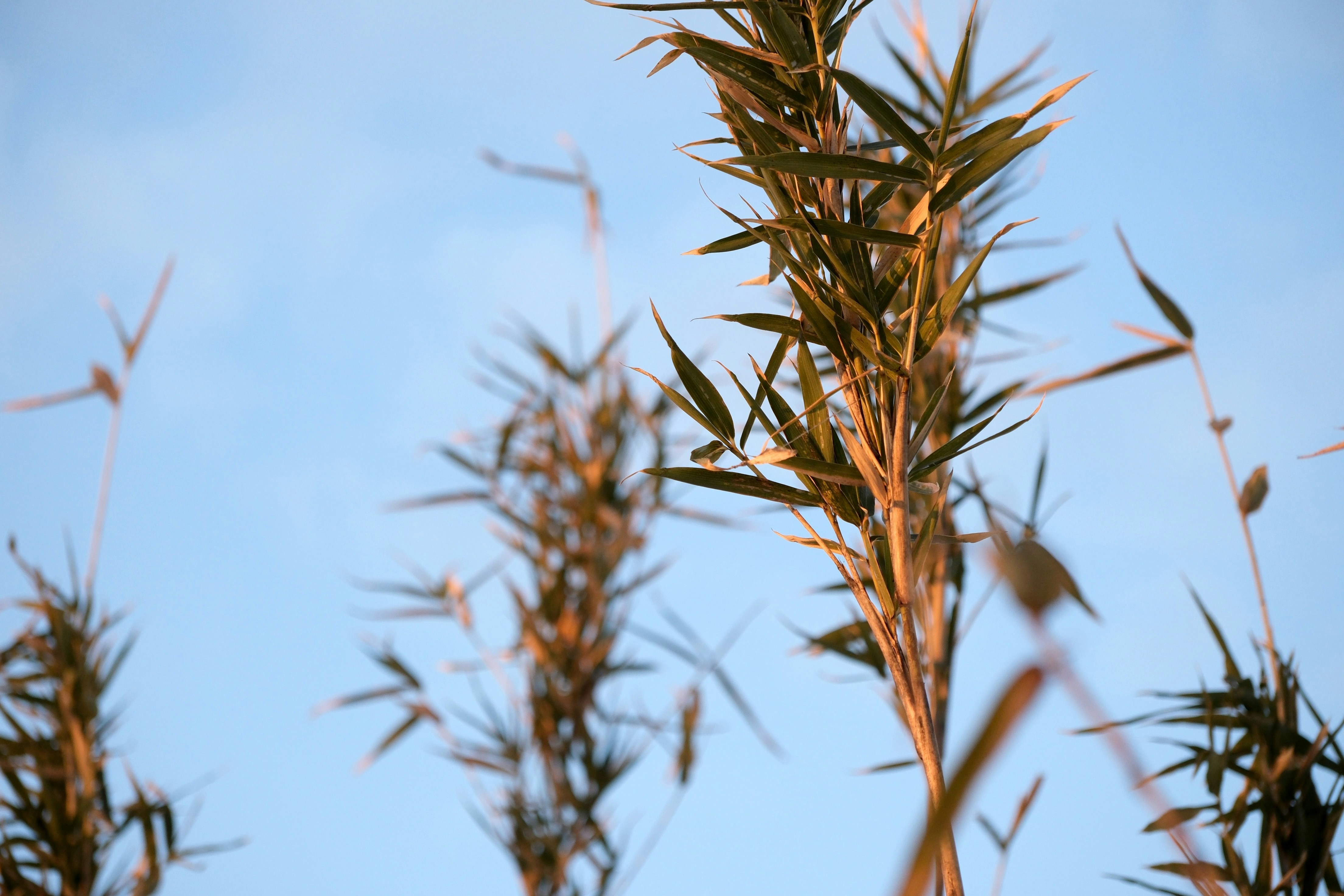 Photo by seiya_maeda