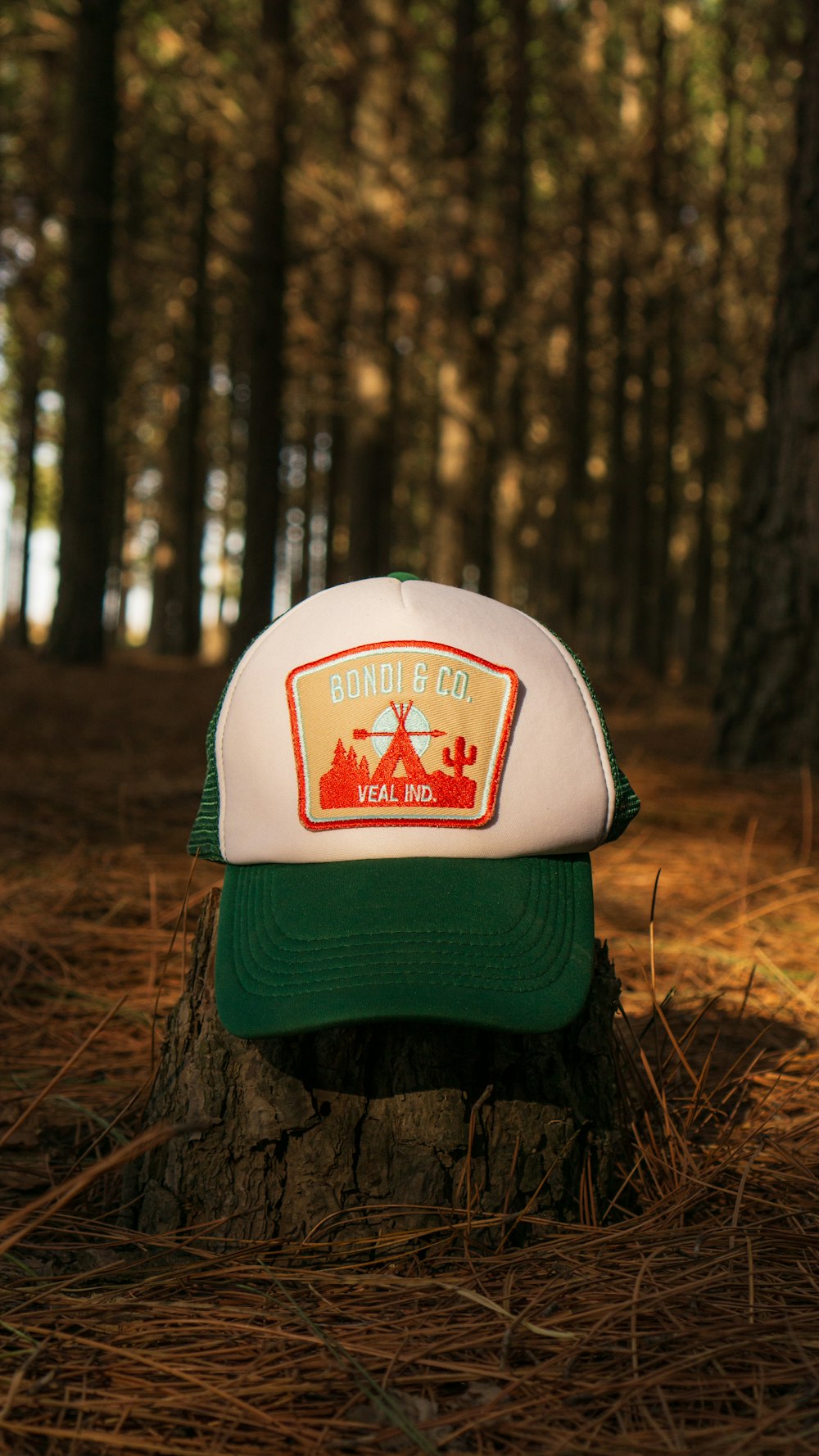 a green and white hat sitting on top of a tree stump