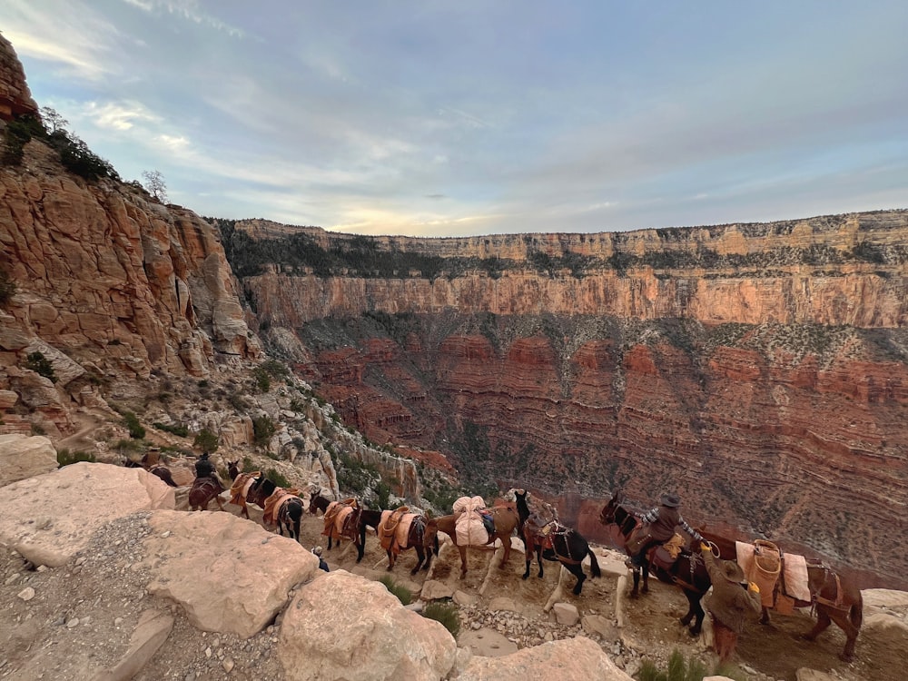 a group of people riding horses along a cliff