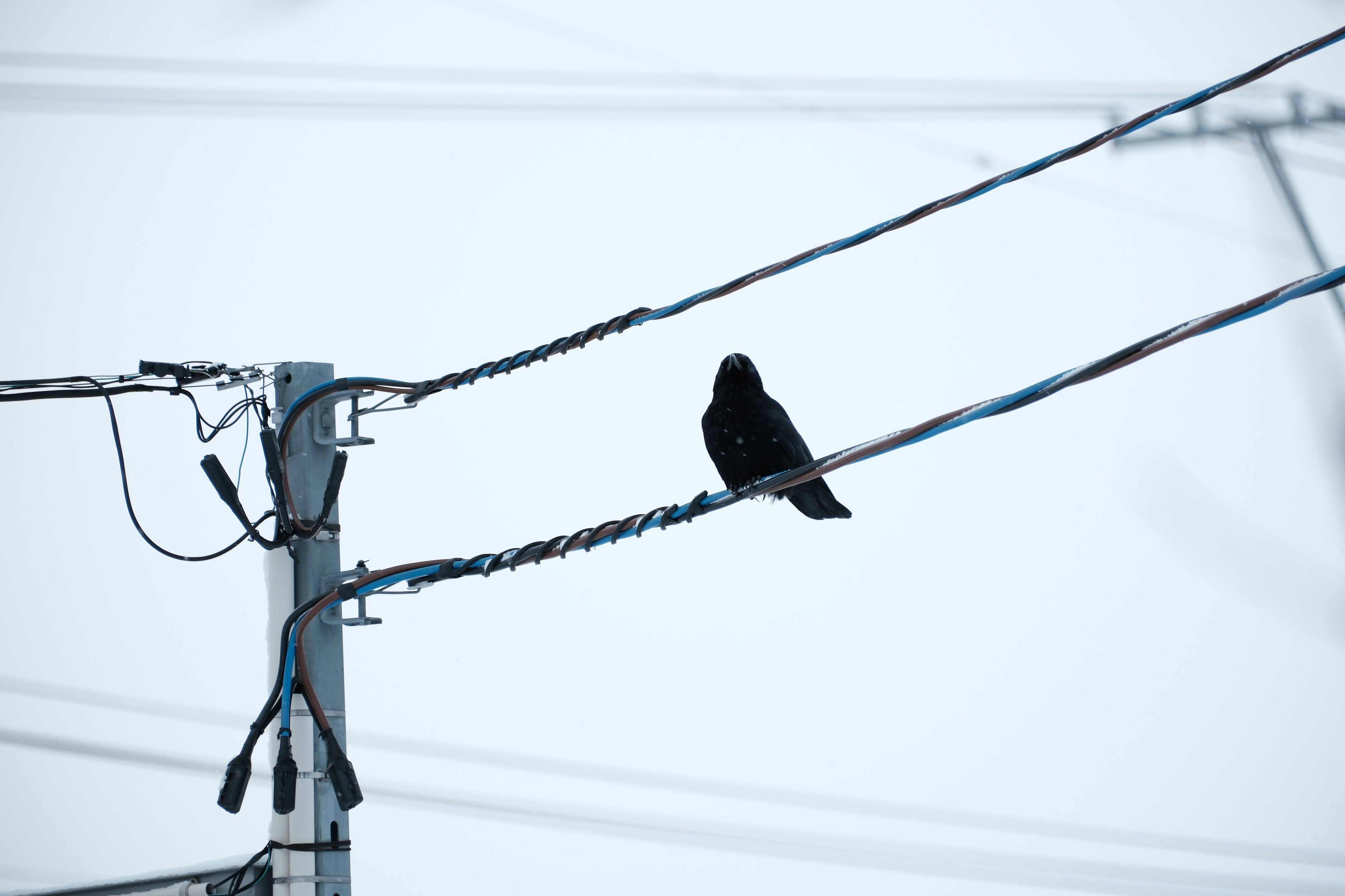 Photo by seiya_maeda