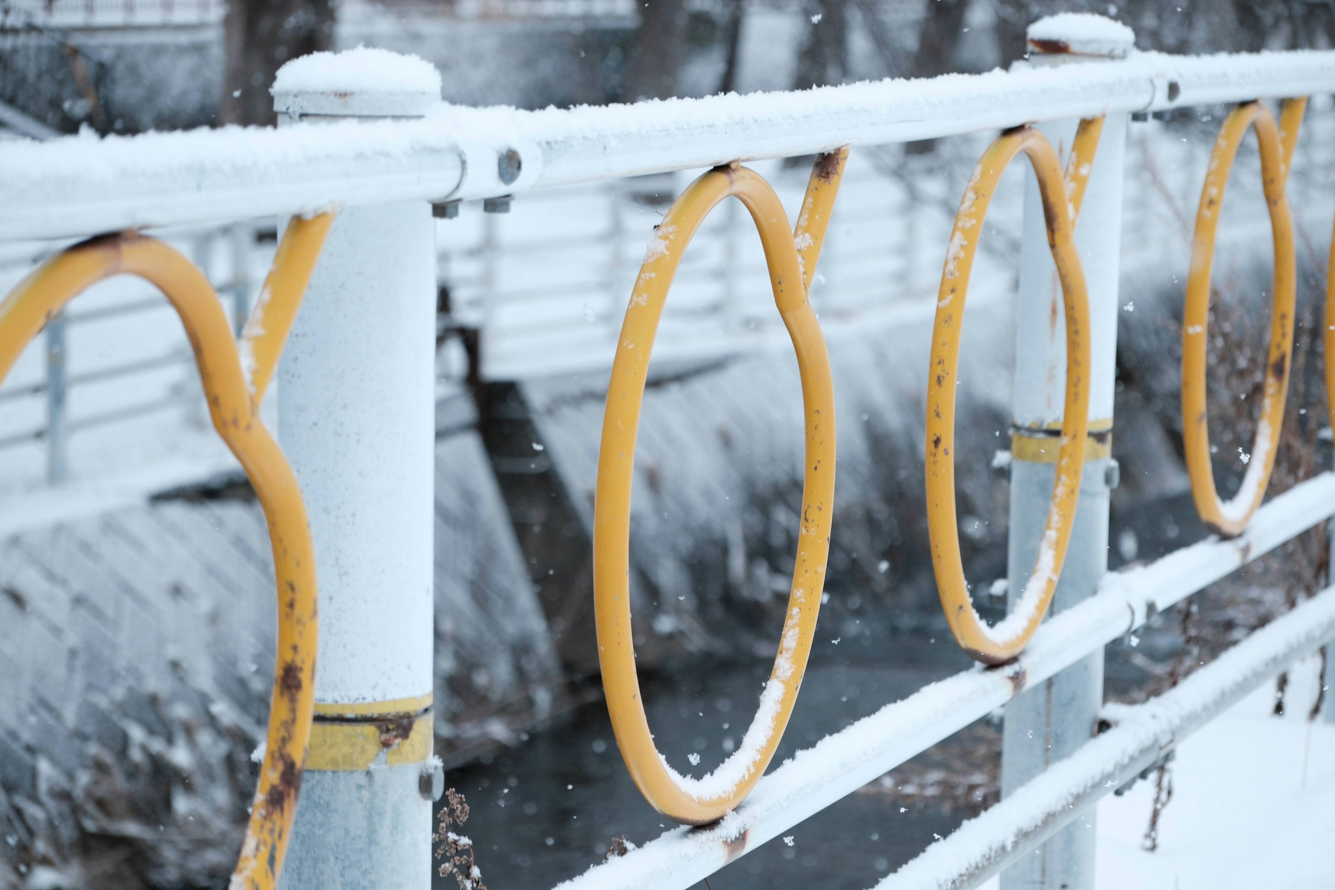 Photo by seiya_maeda