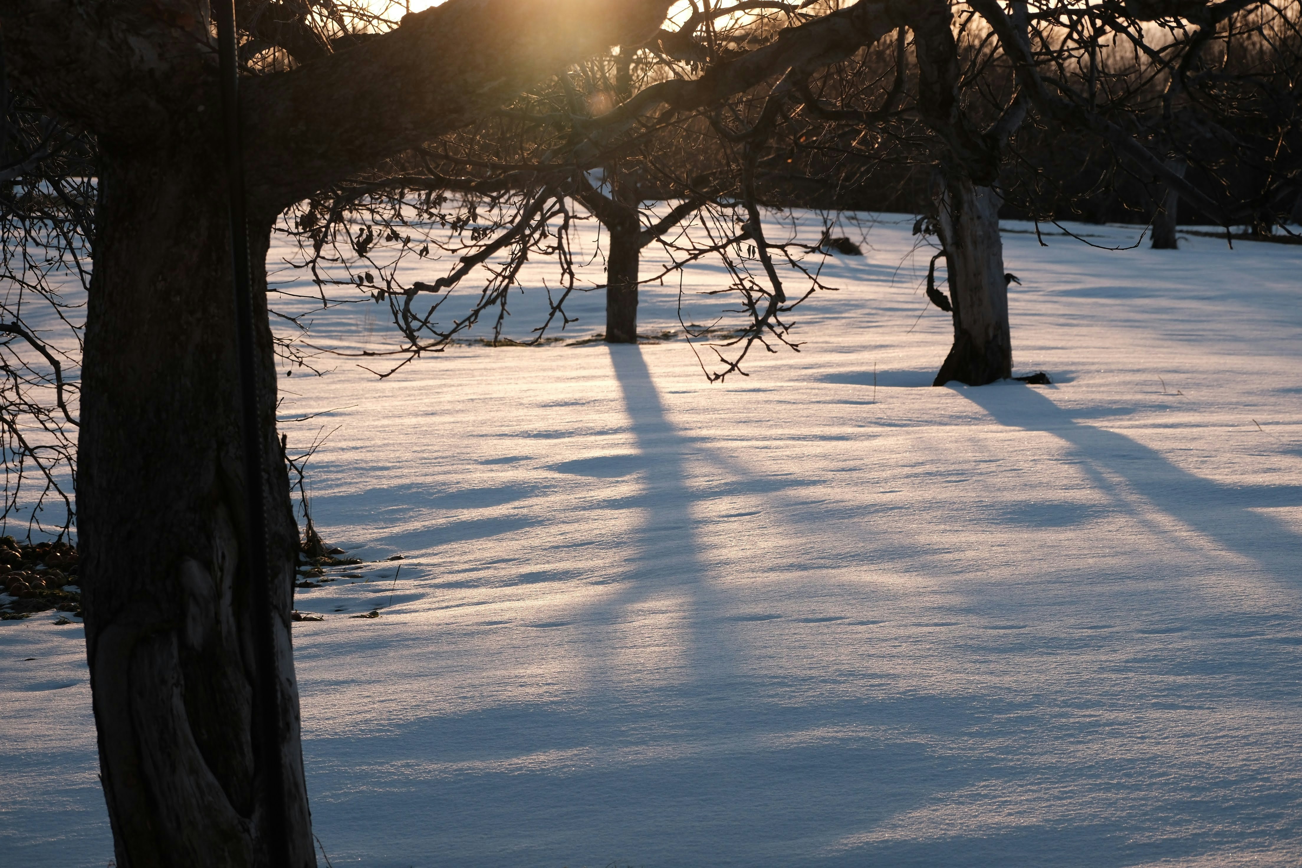 Photo by seiya_maeda