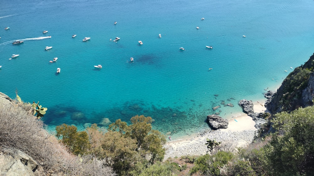 a group of boats floating on top of a body of water