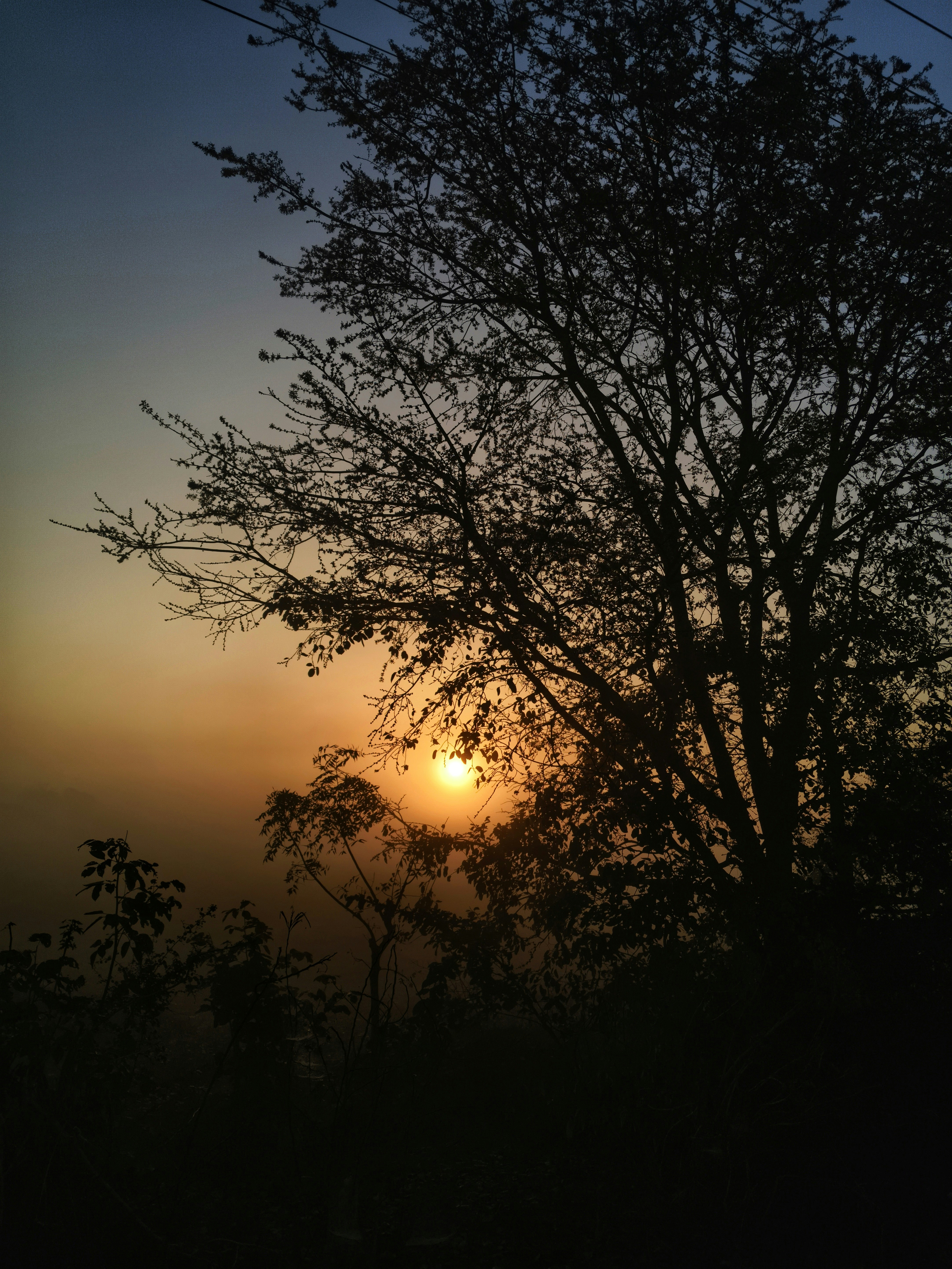 Photo by smaran__chowdary