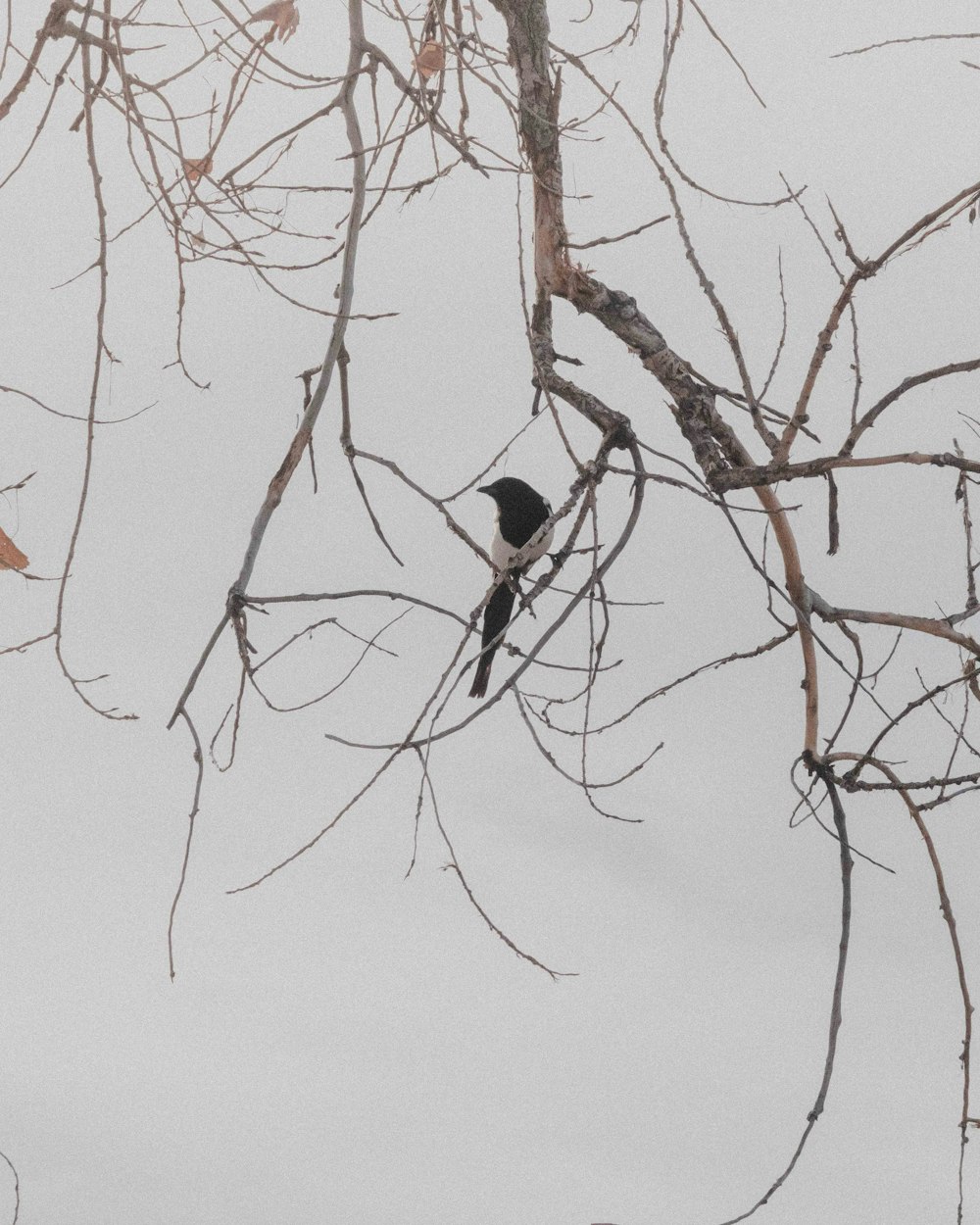 a bird is perched on a tree branch