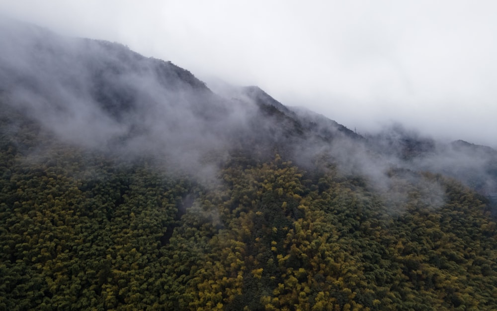 a mountain covered in fog and low lying clouds