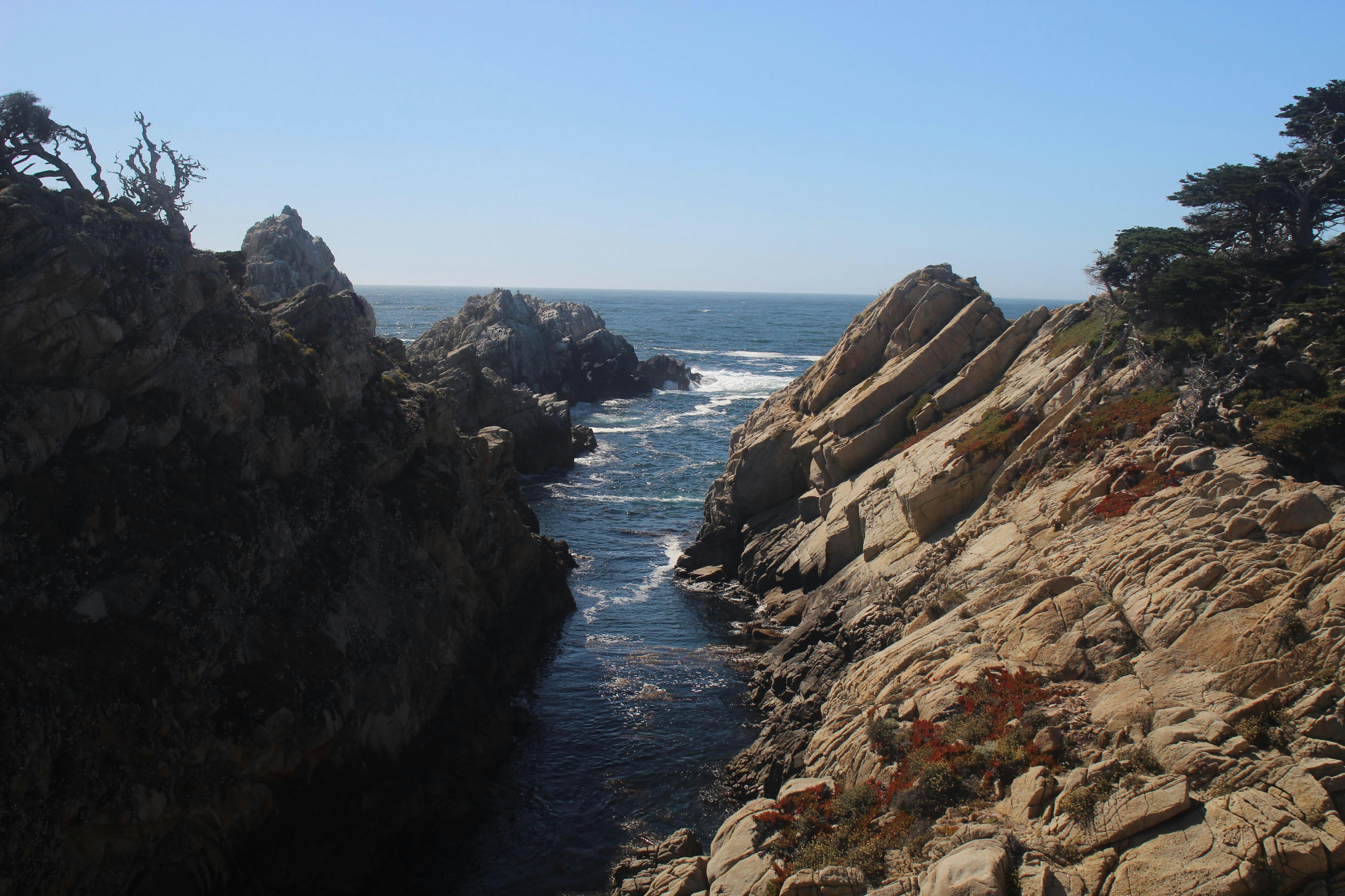 Photo by juniperoverbeke