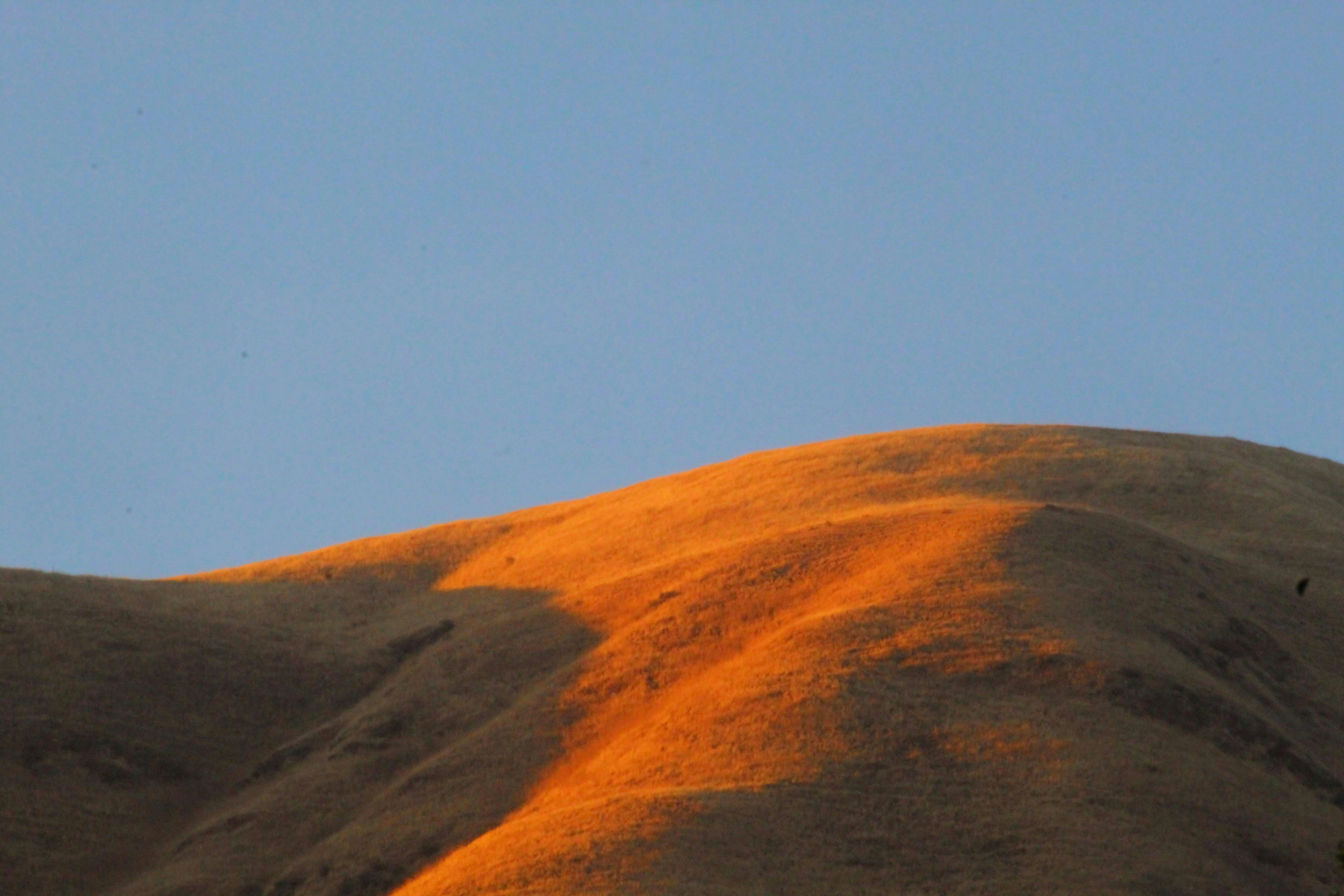 Semaglutide in Bard, CA: What to Know Before You Start a Medically Supervised GLP-1 Plan