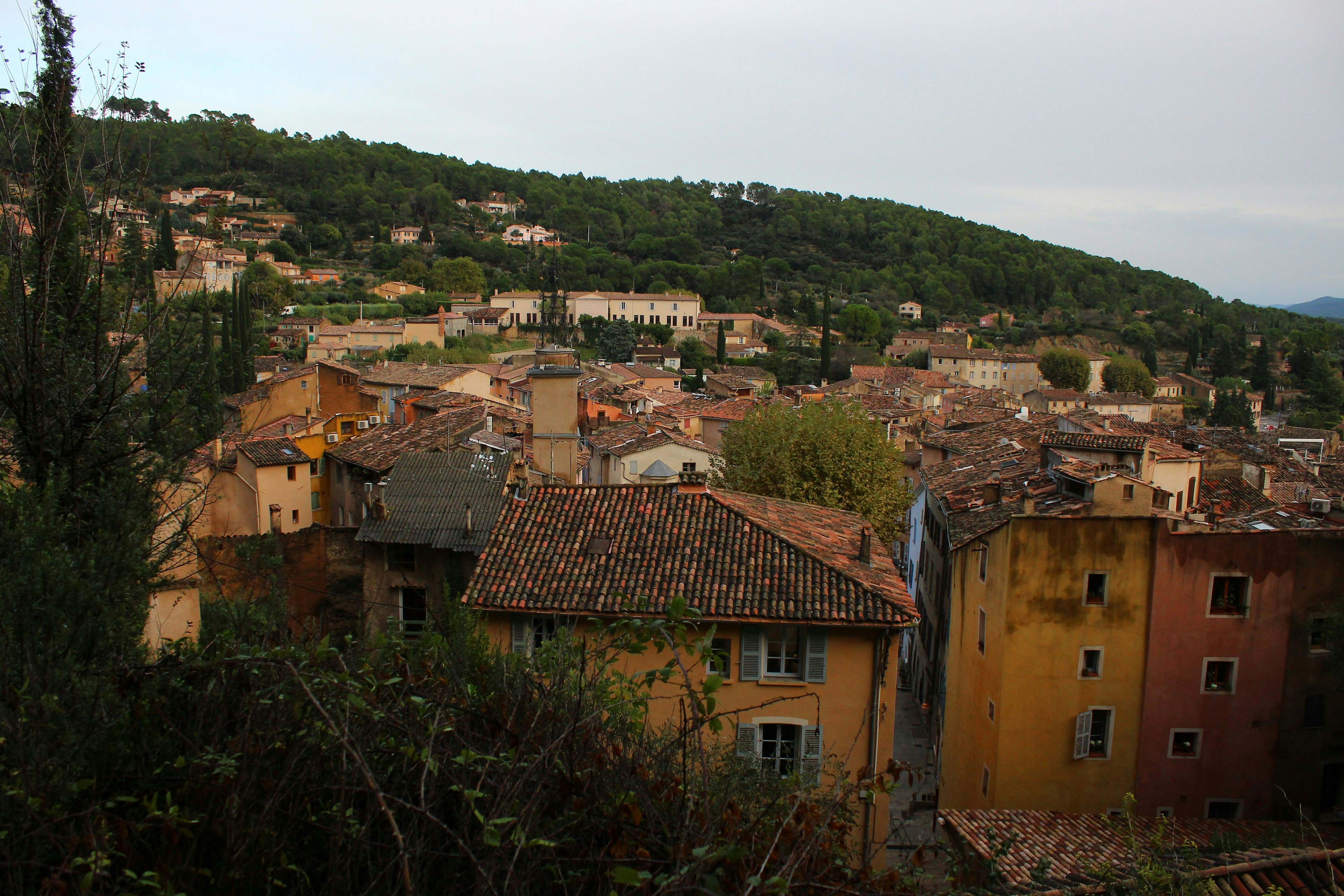 Photo by juniperoverbeke