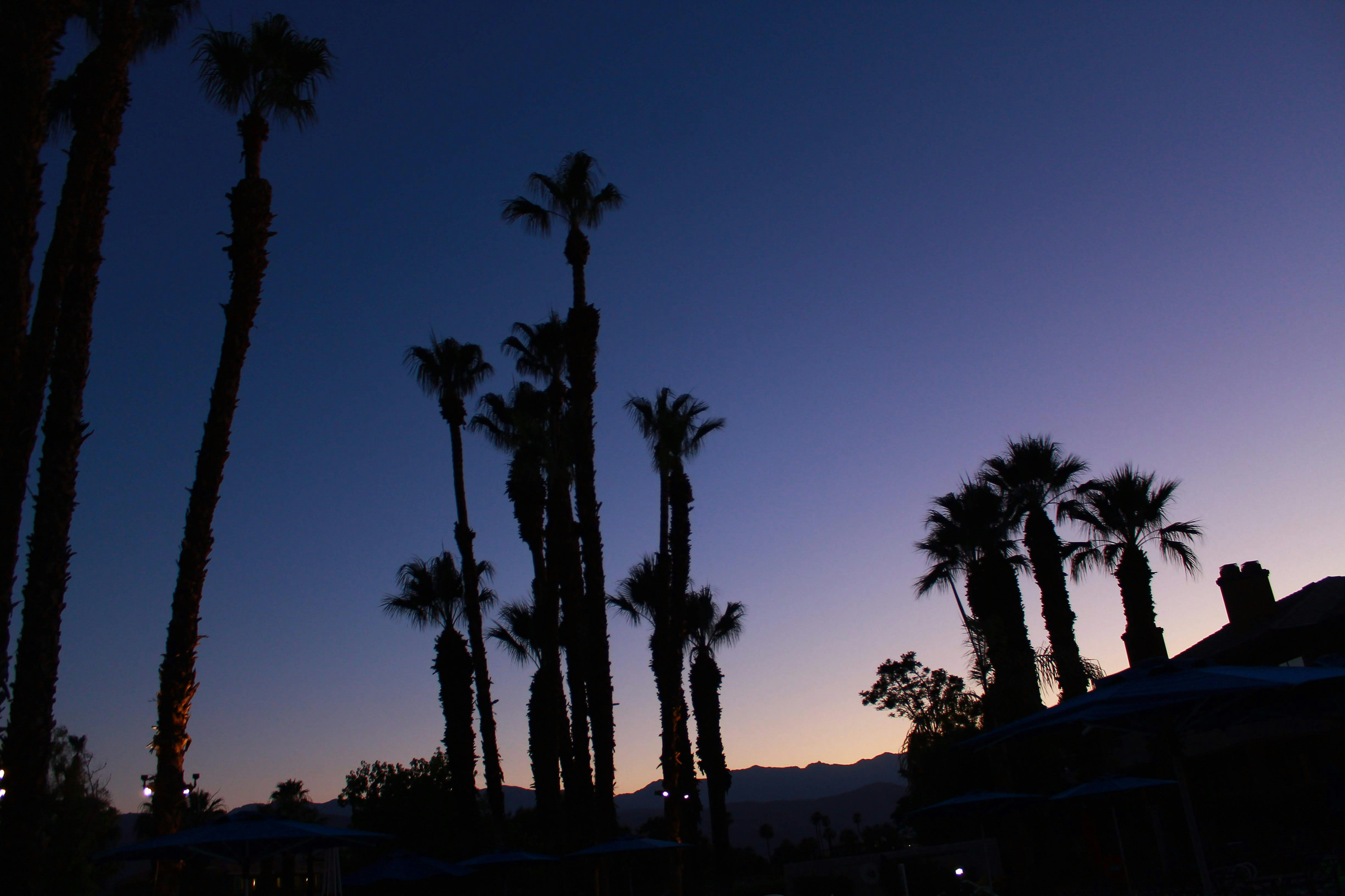 Nightlife Guide to Palm Springs (2026)
