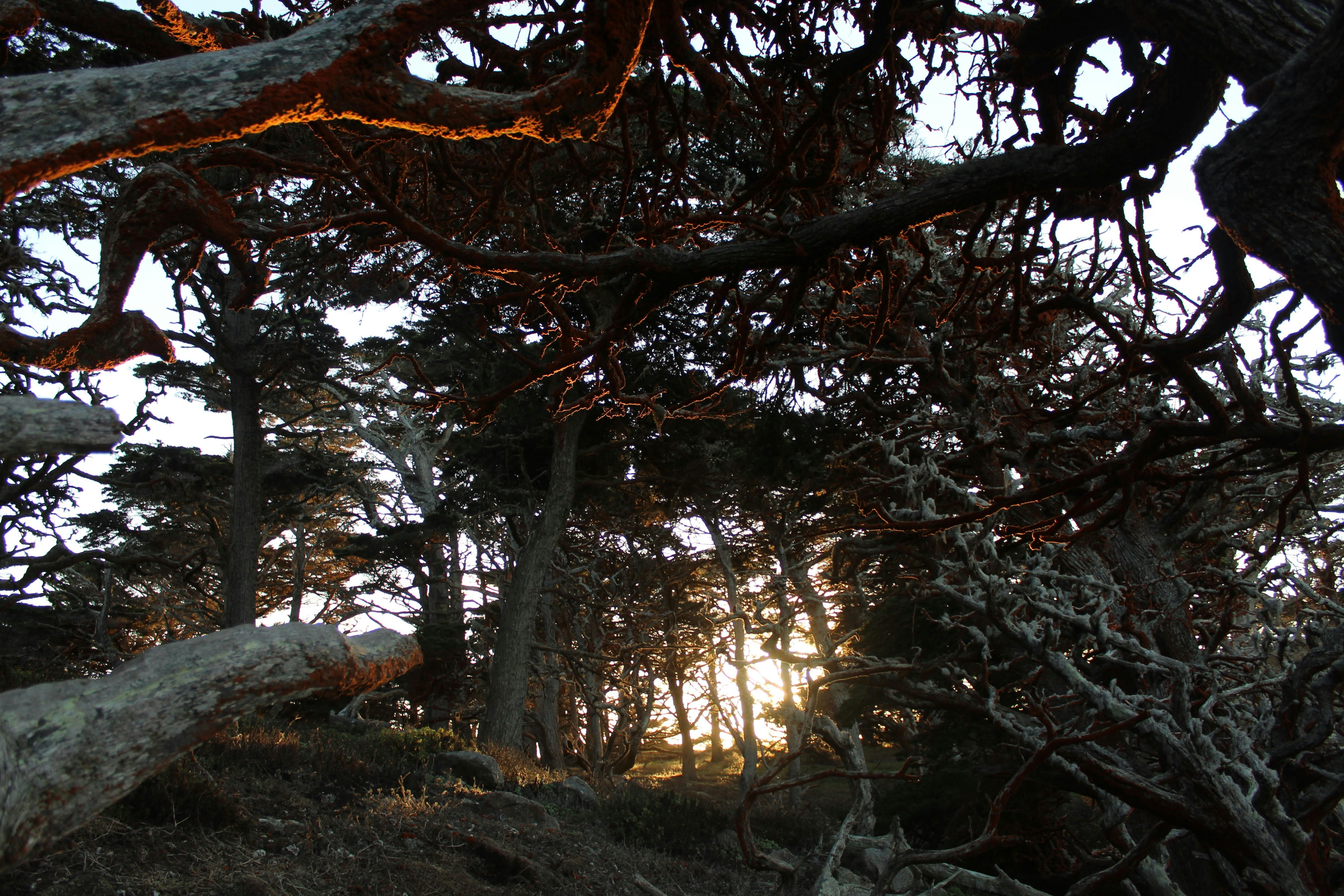 Photo by juniperoverbeke