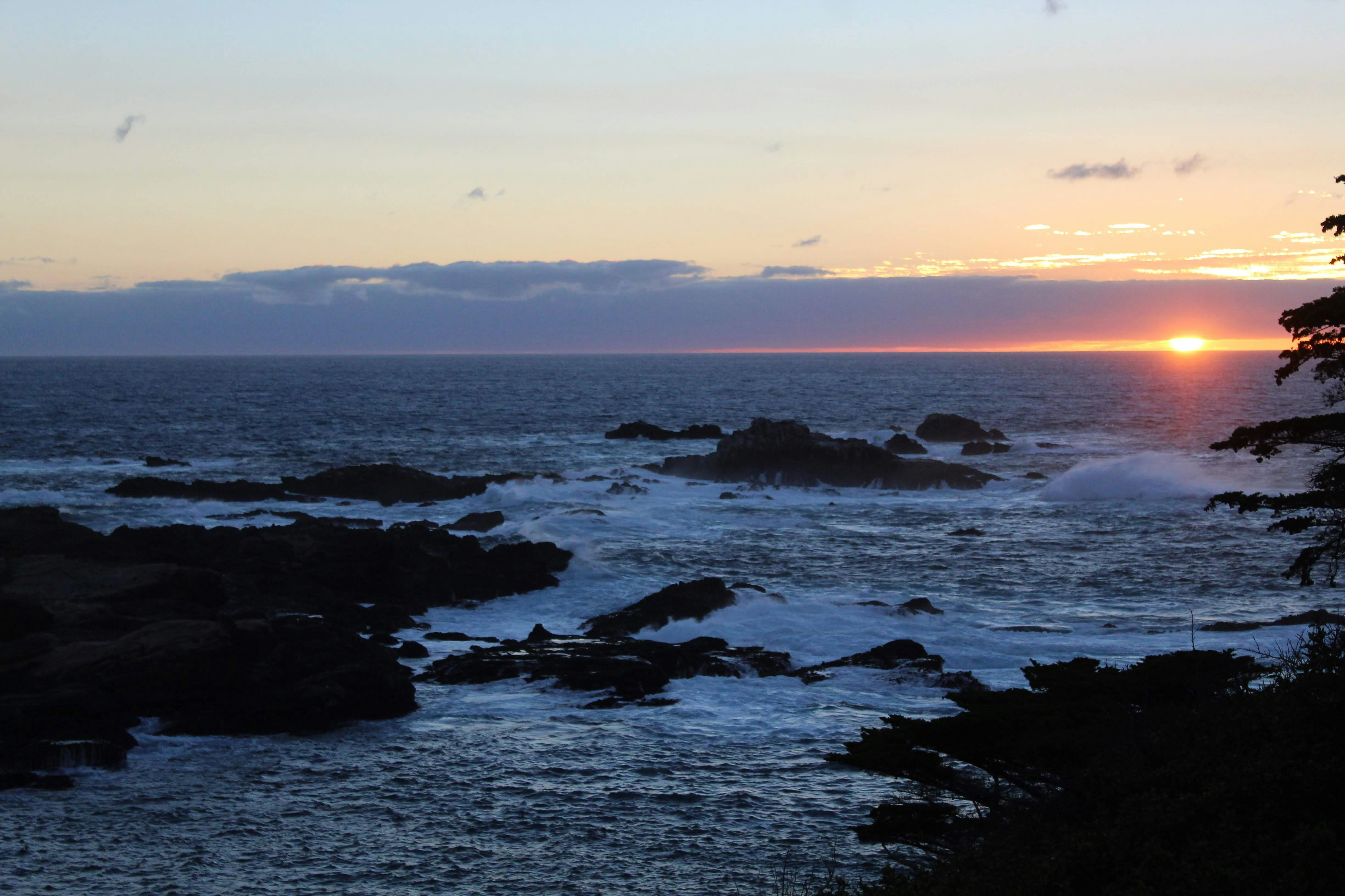 Photo by juniperoverbeke