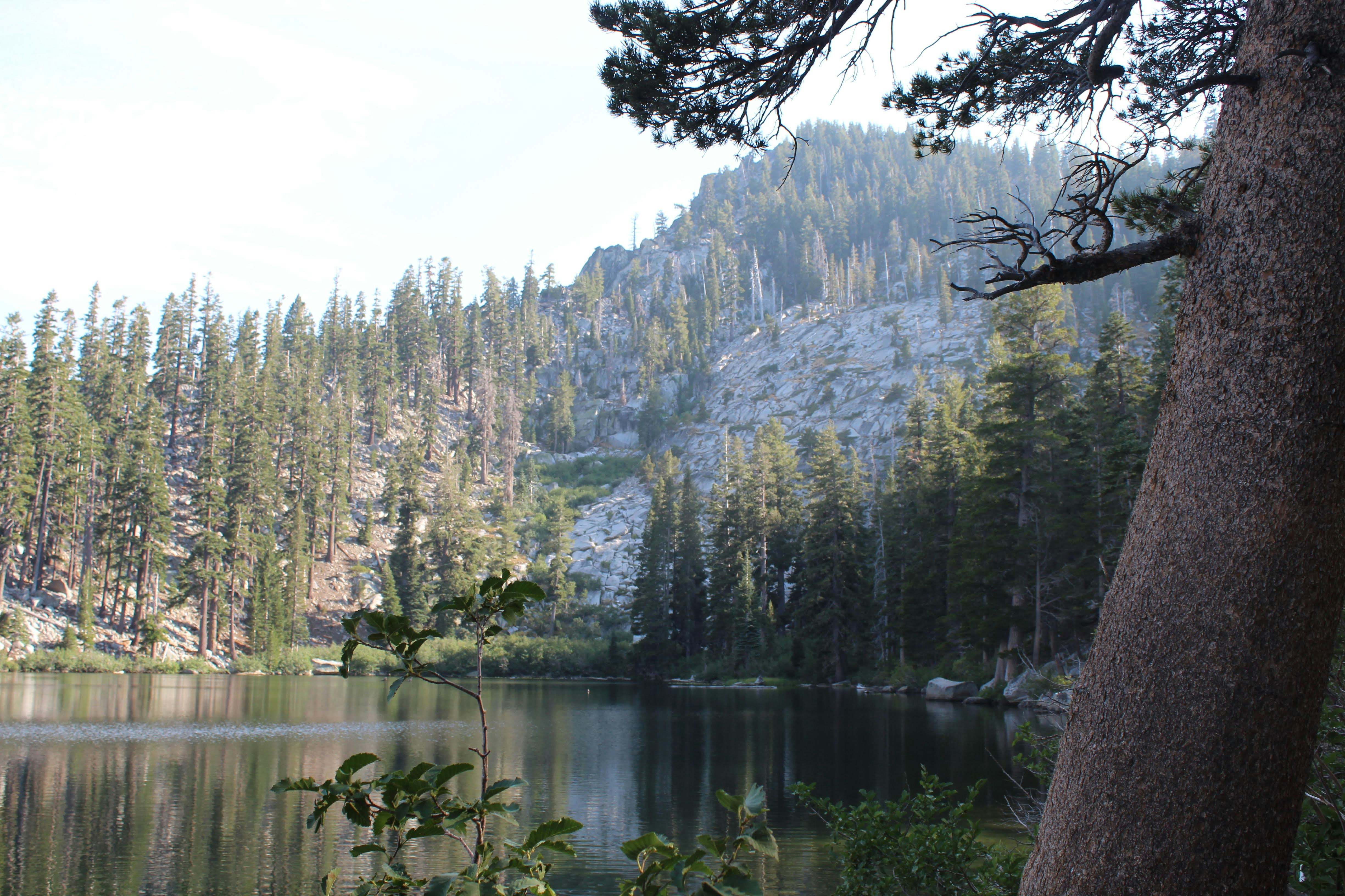 Photo by juniperoverbeke