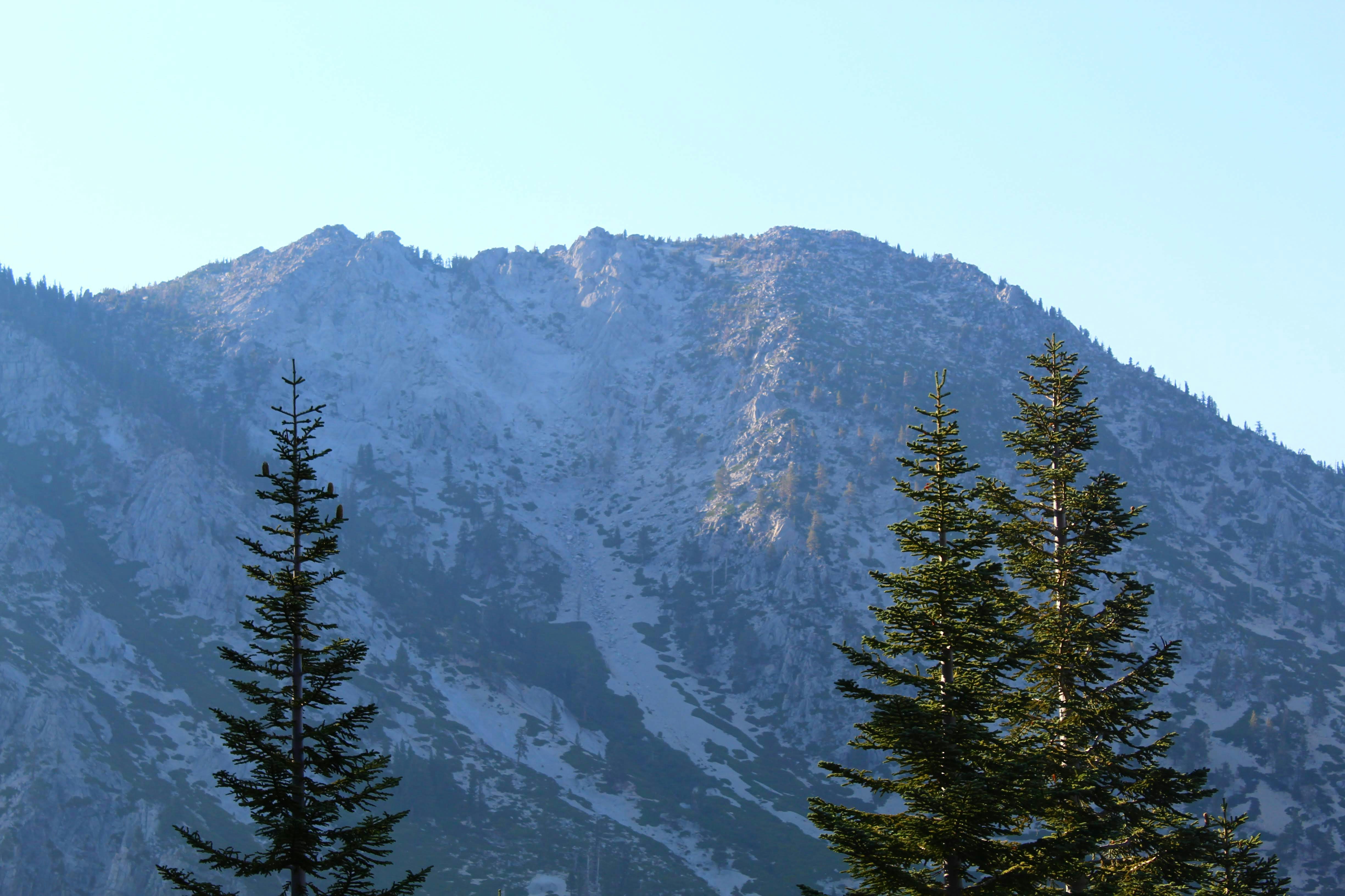 Photo by juniperoverbeke