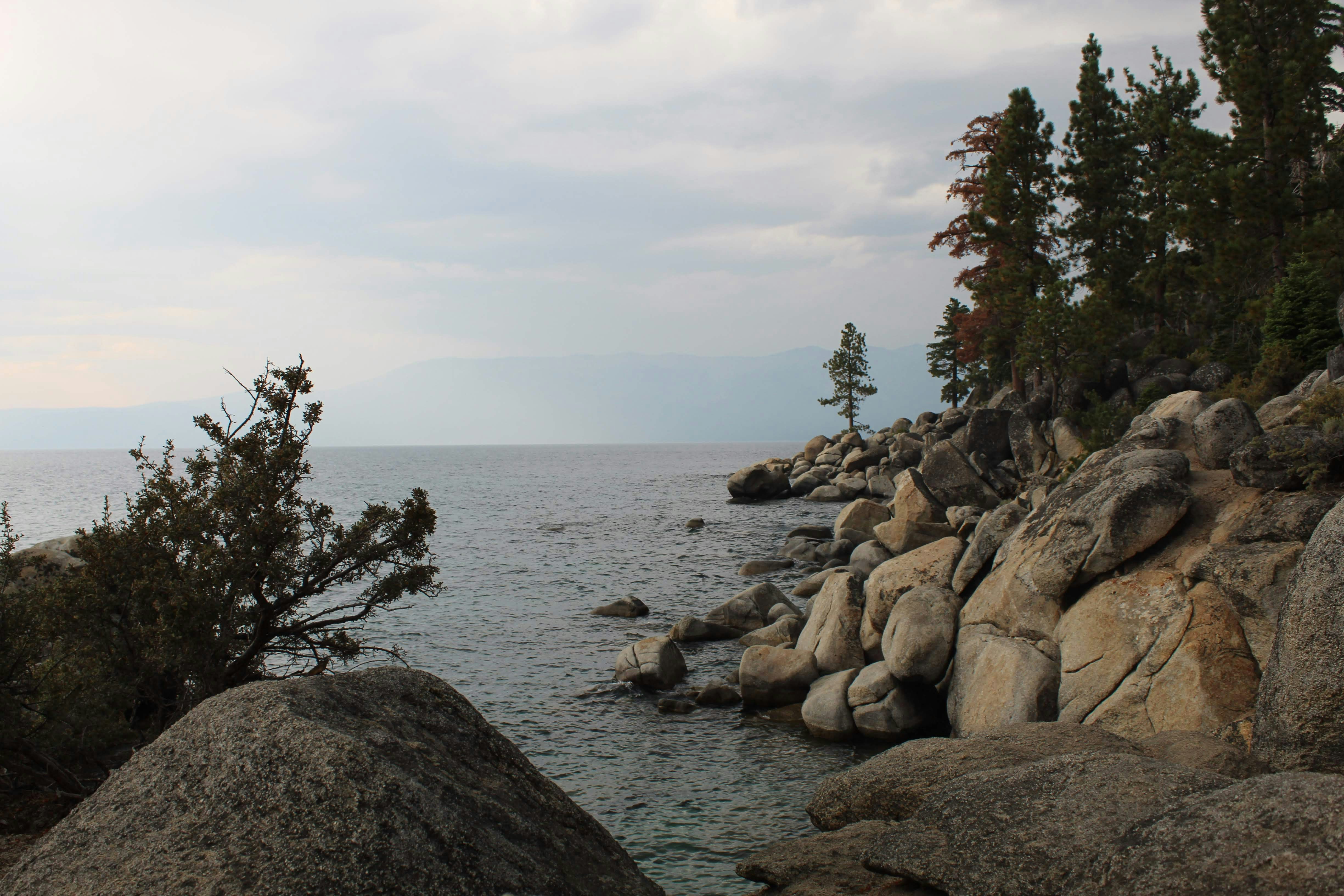 Photo by juniperoverbeke