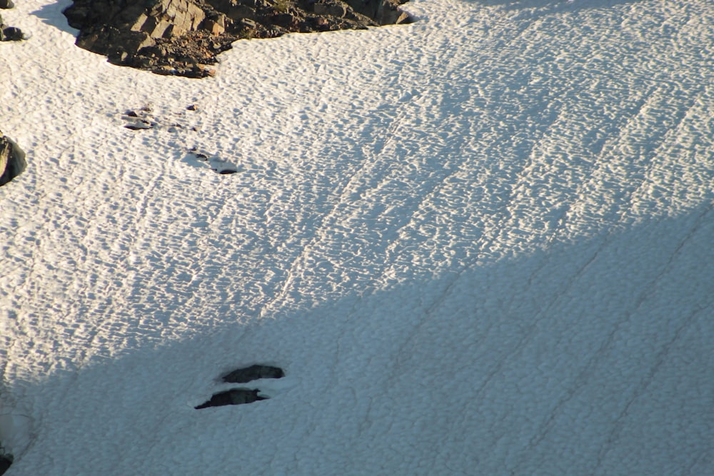 footprints in the snow on the side of a mountain