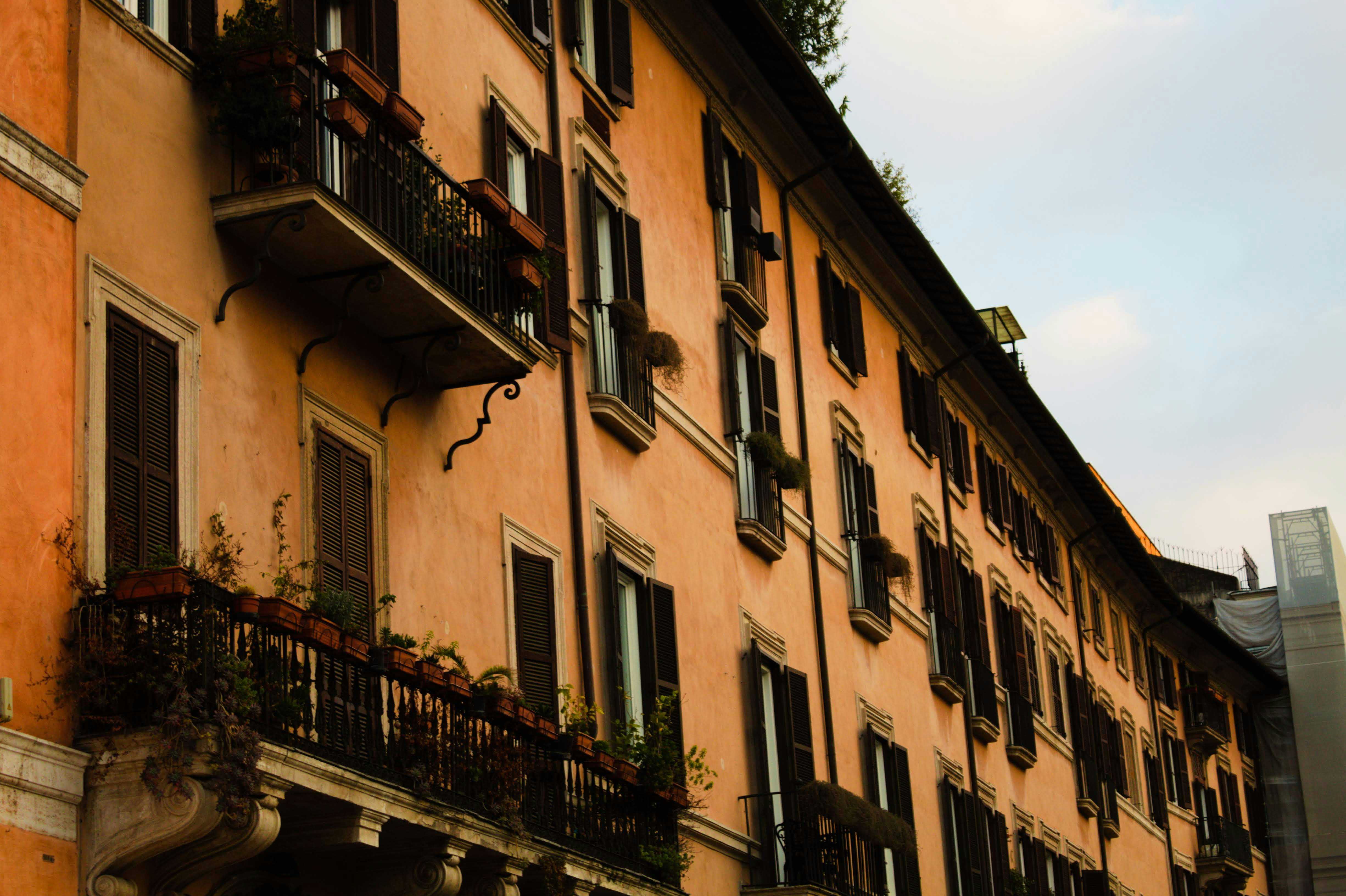 Photo by juniperoverbeke