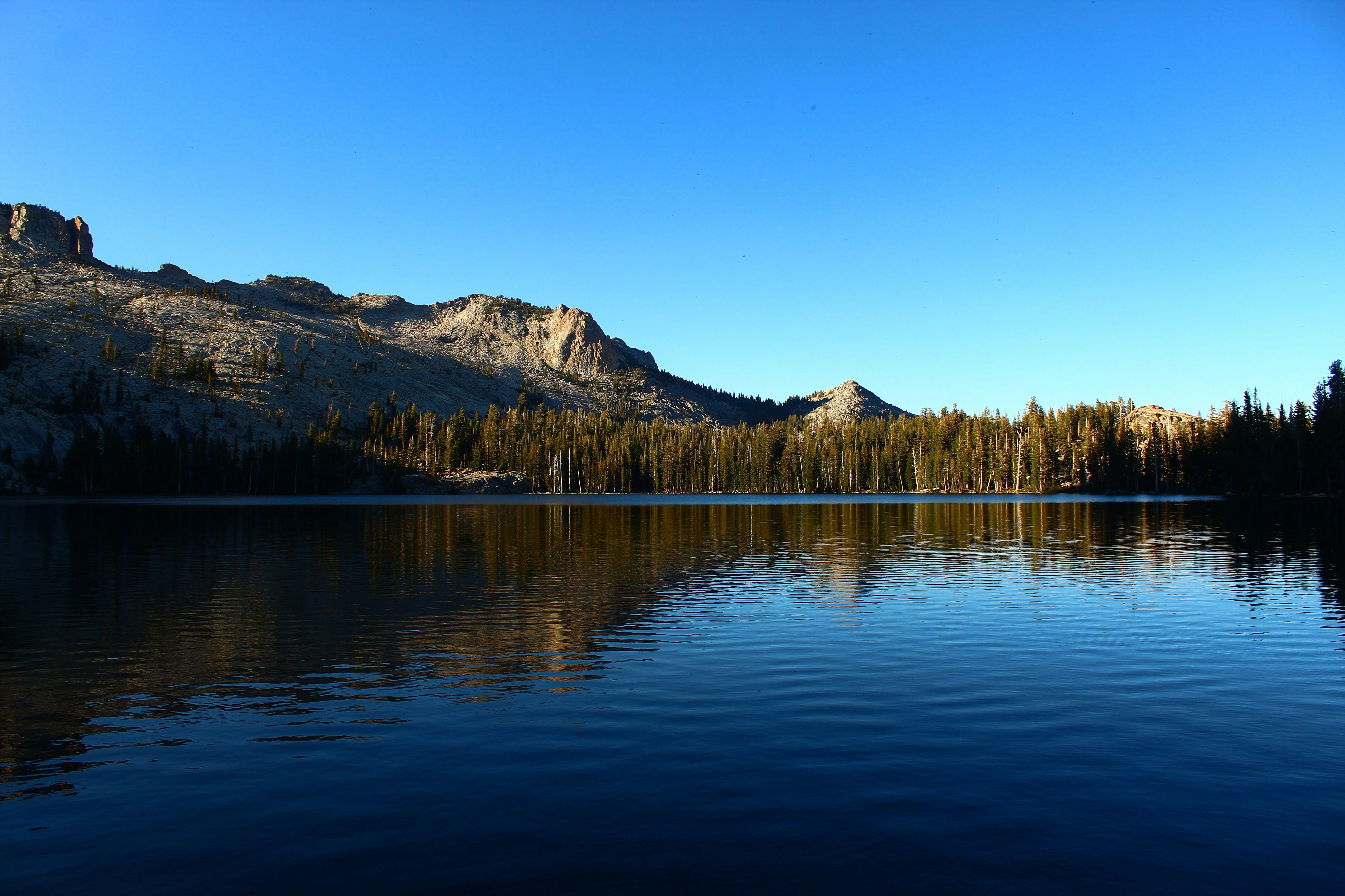 Photo by juniperoverbeke