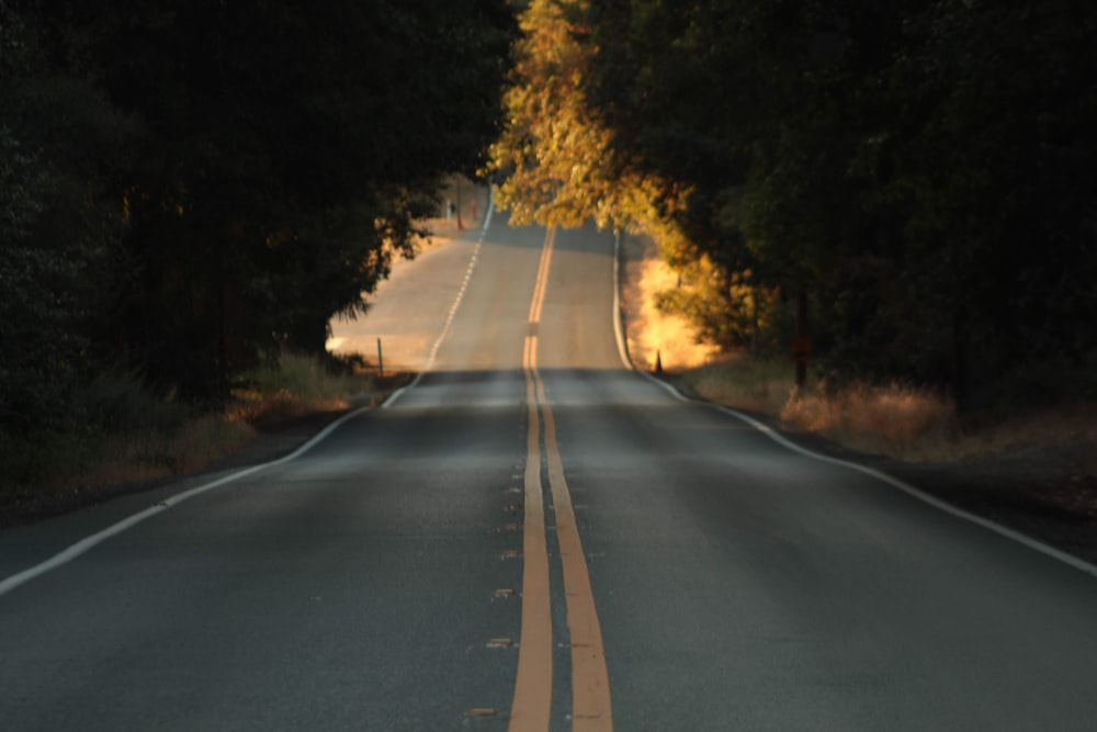 an empty road with trees on both sides