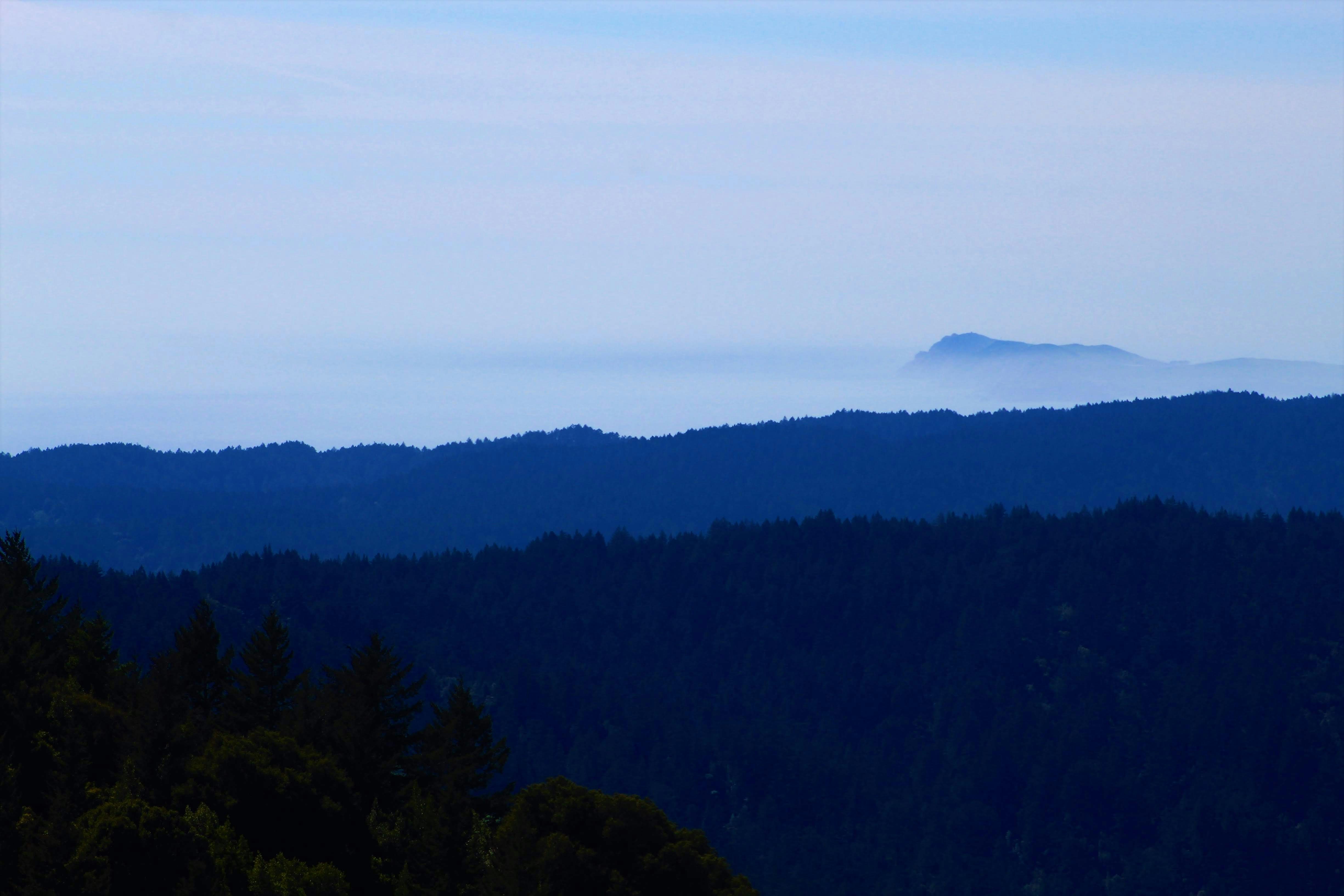 Photo by juniperoverbeke