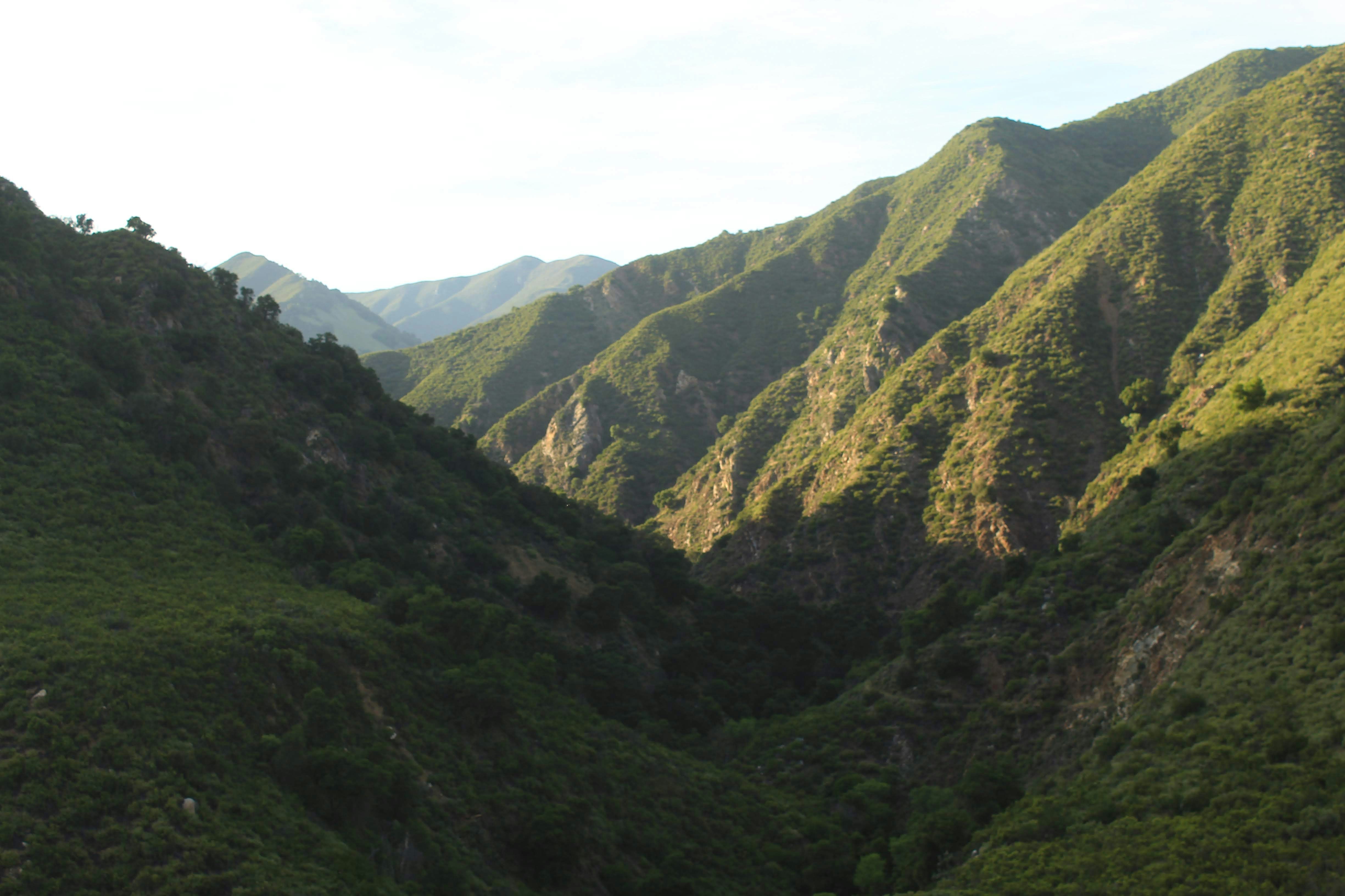 Photo by juniperoverbeke