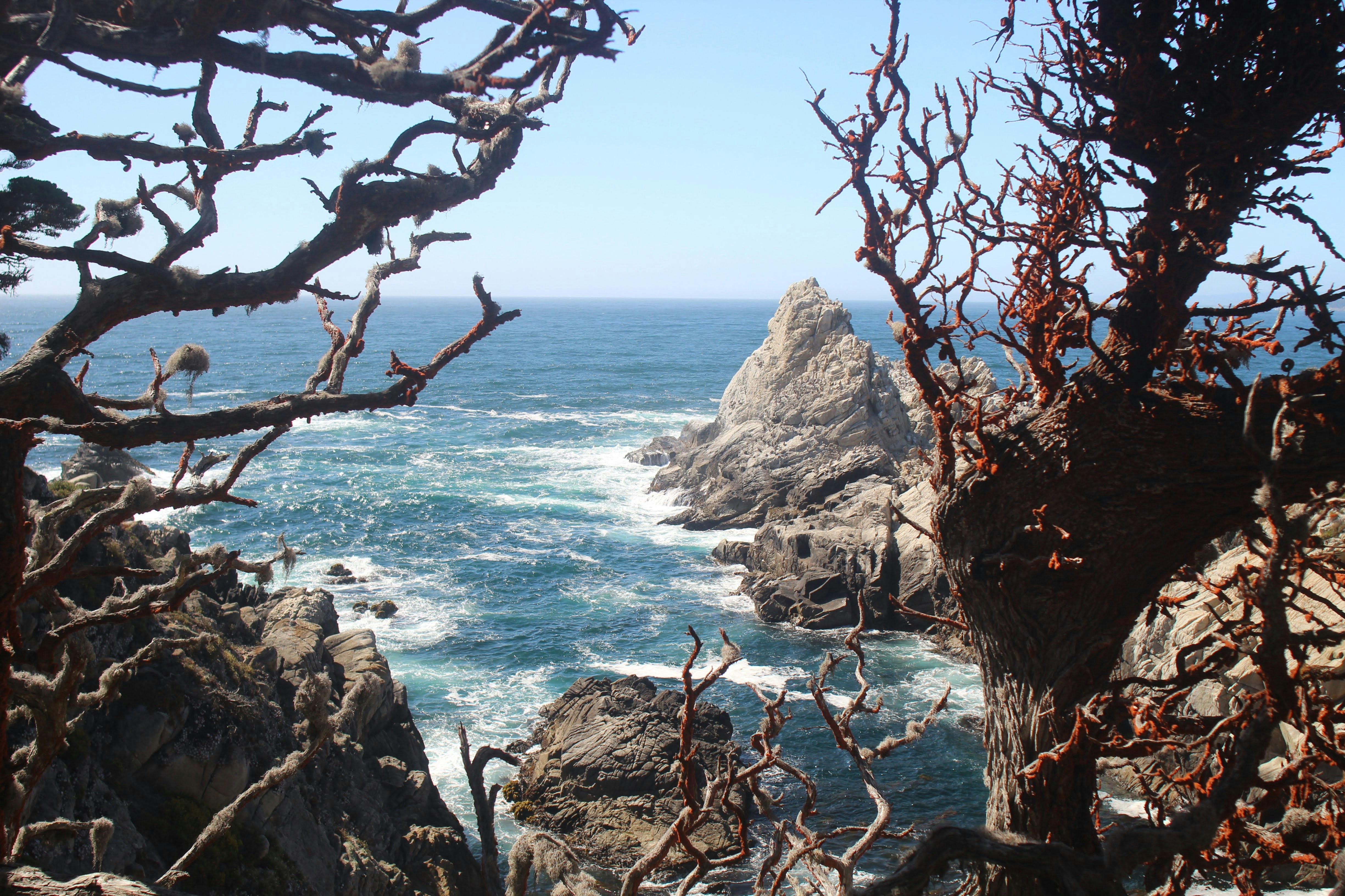 Photo by juniperoverbeke