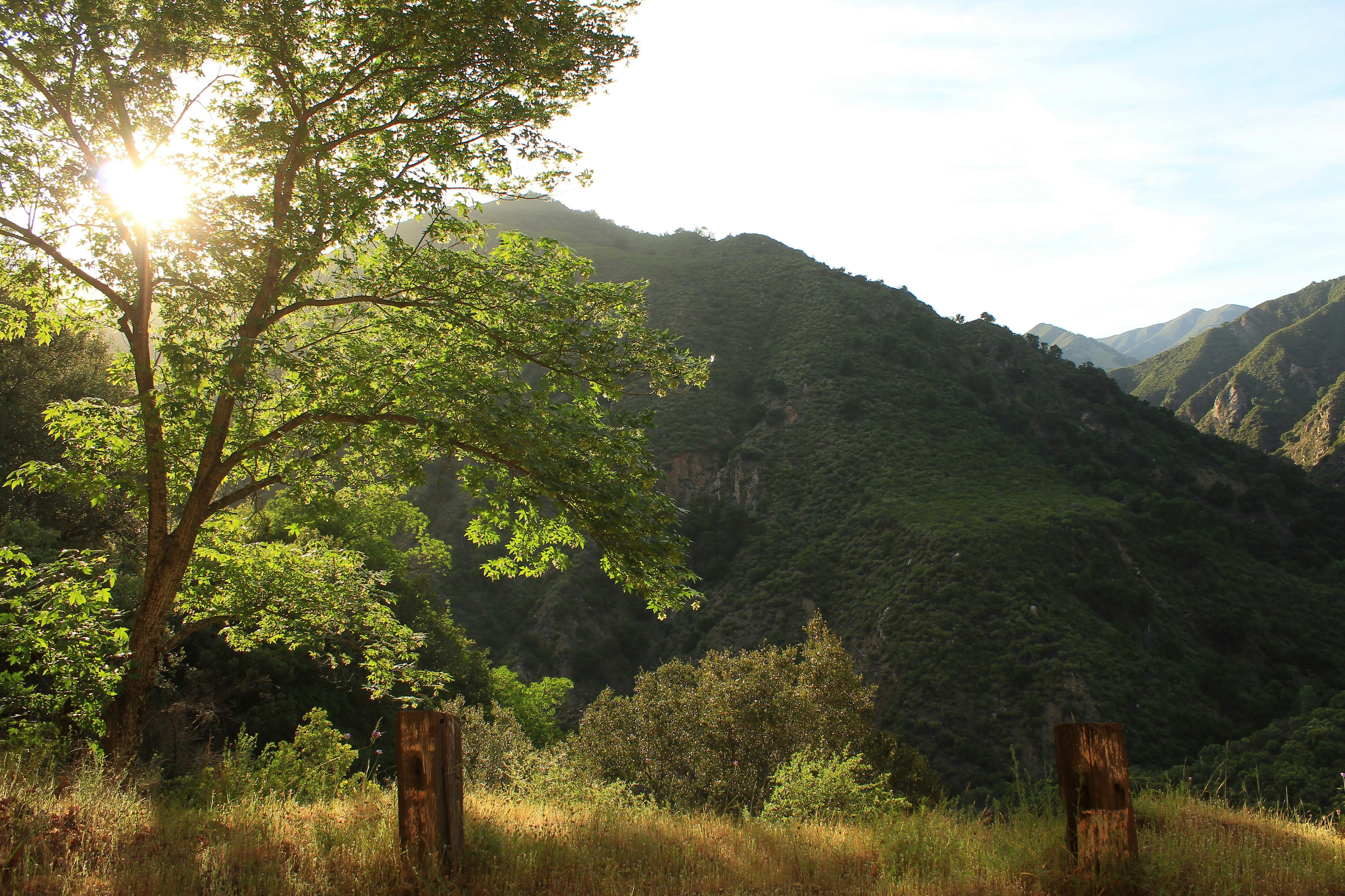 Photo by juniperoverbeke