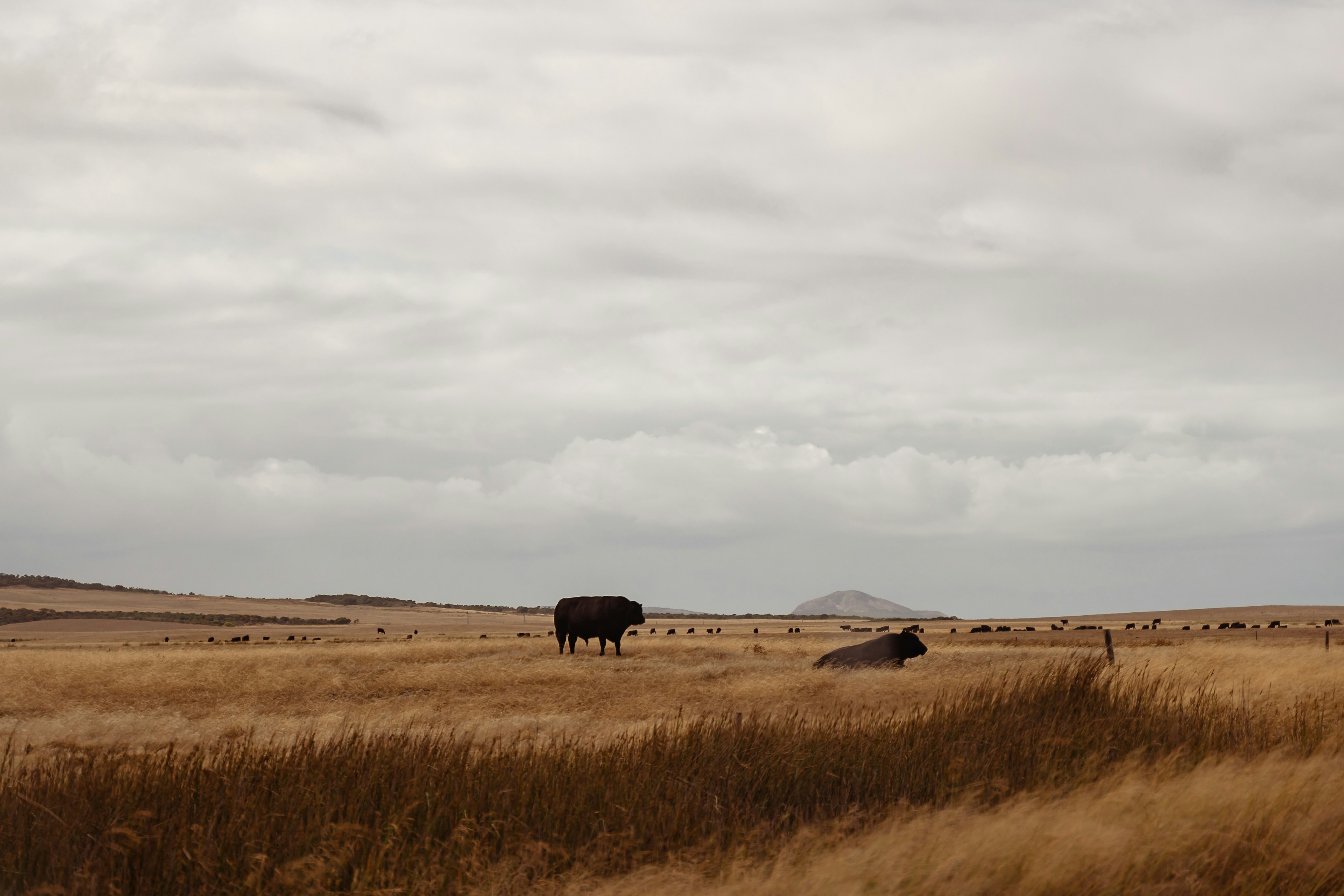 Photo by michellem18