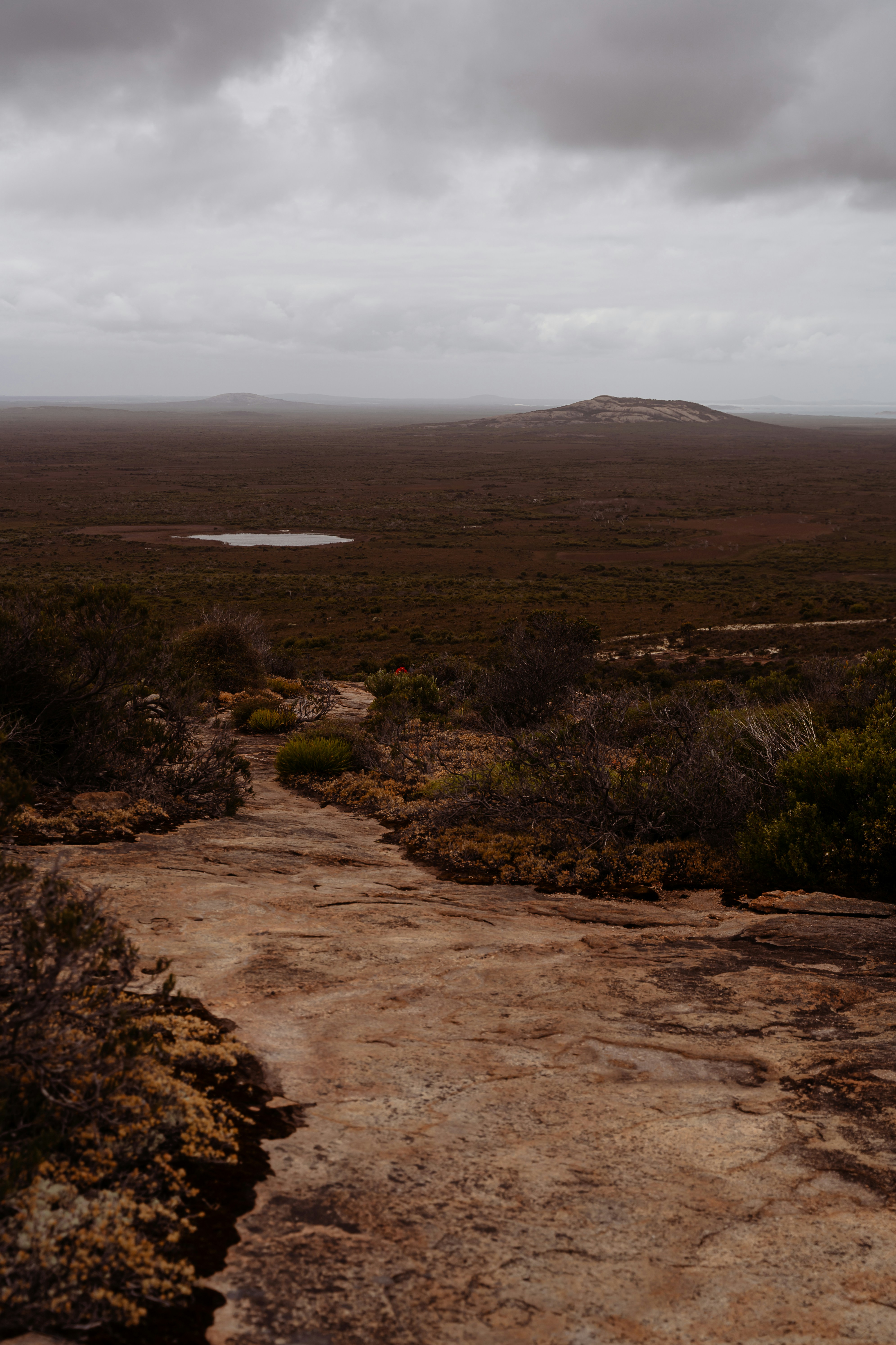 a dirt path in a field with a mountain in the distance