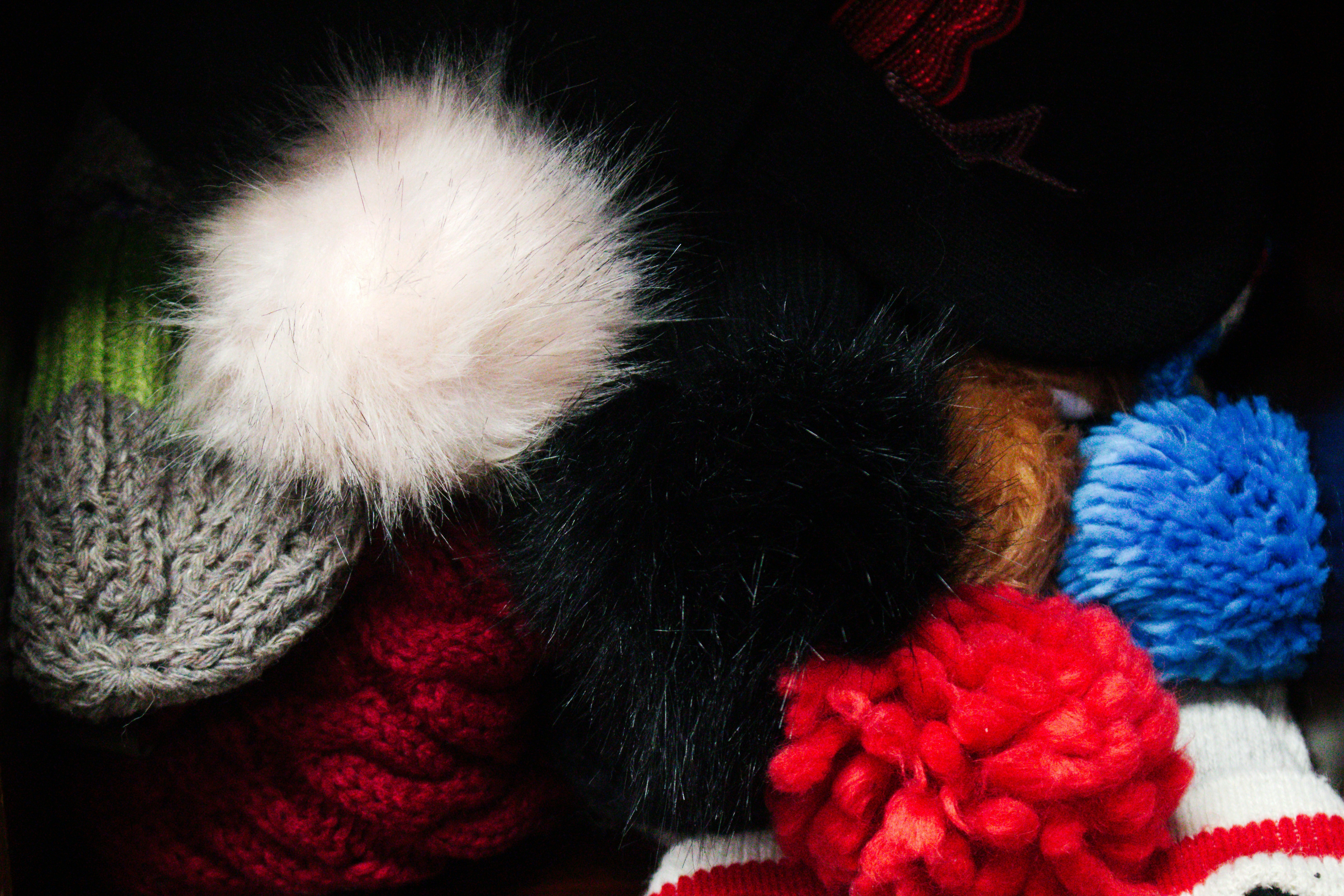 Conseils pour choisir un conteneur