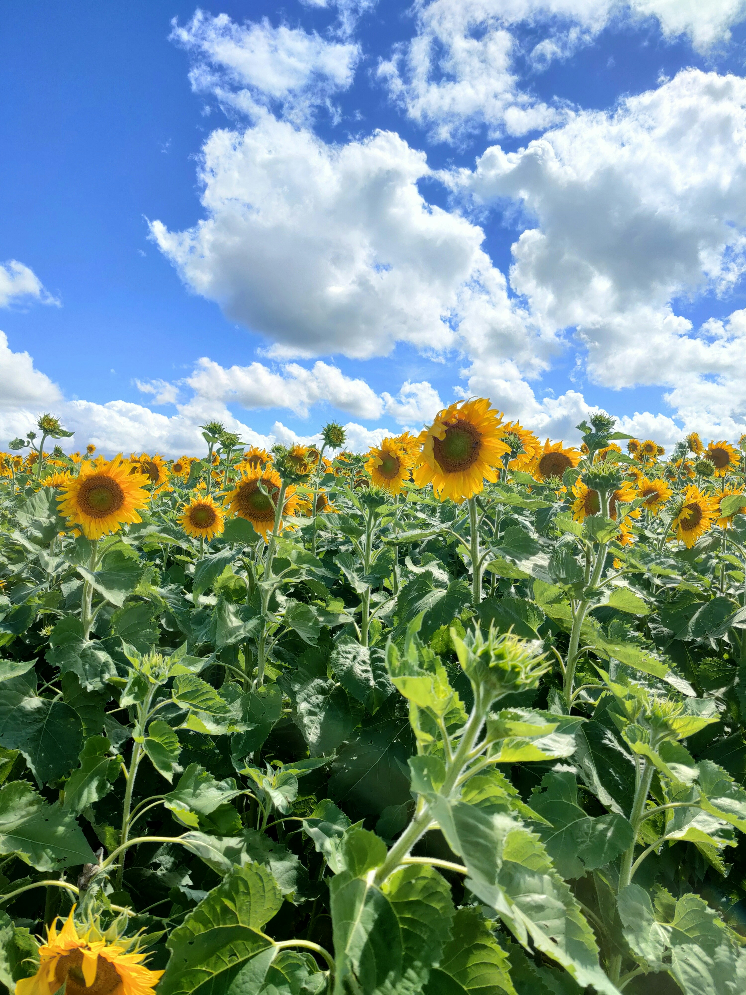 Photo by castingspells91_