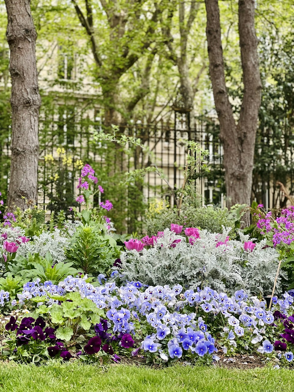 a garden filled with lots of purple and blue flowers