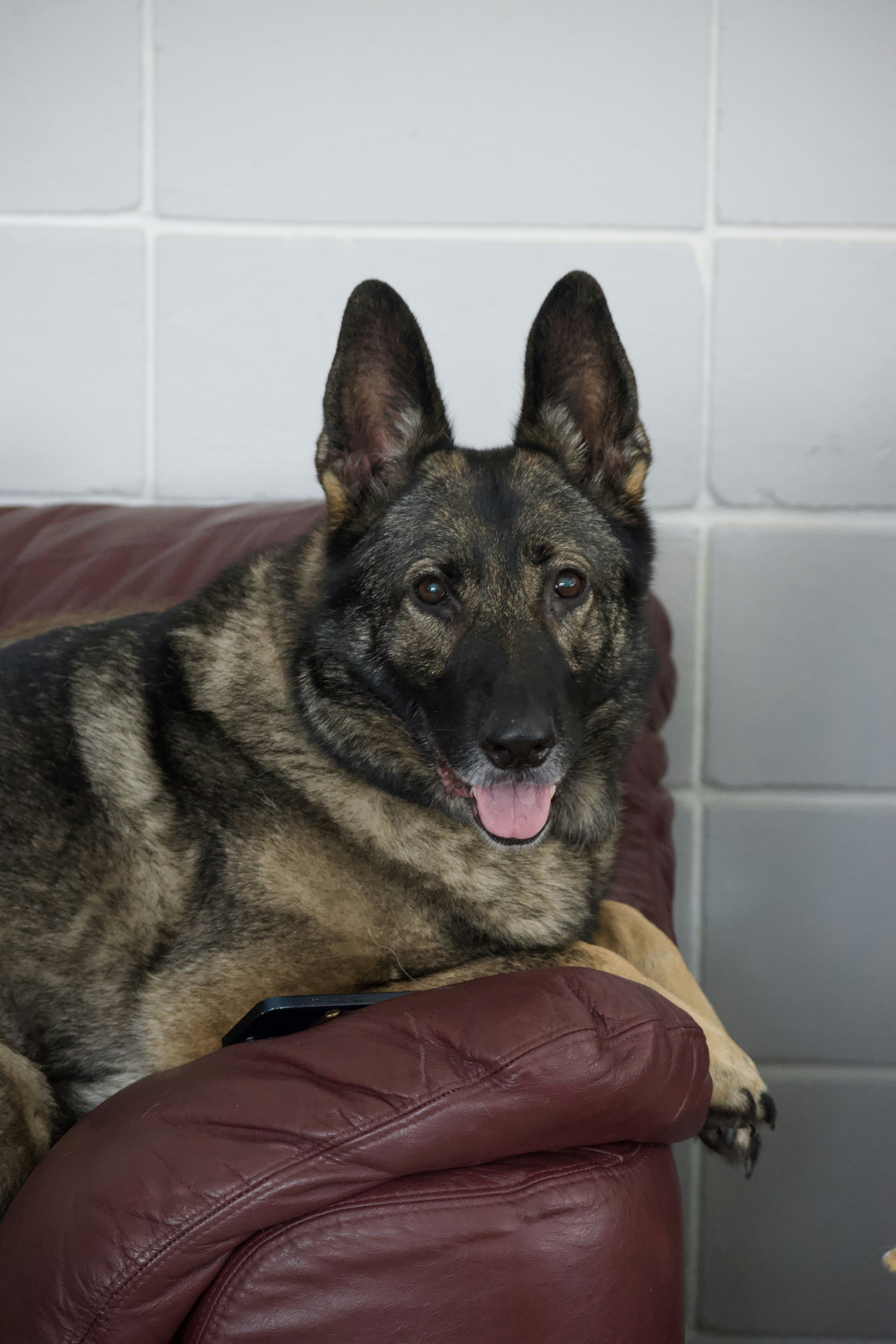 Photo by southernpostralis