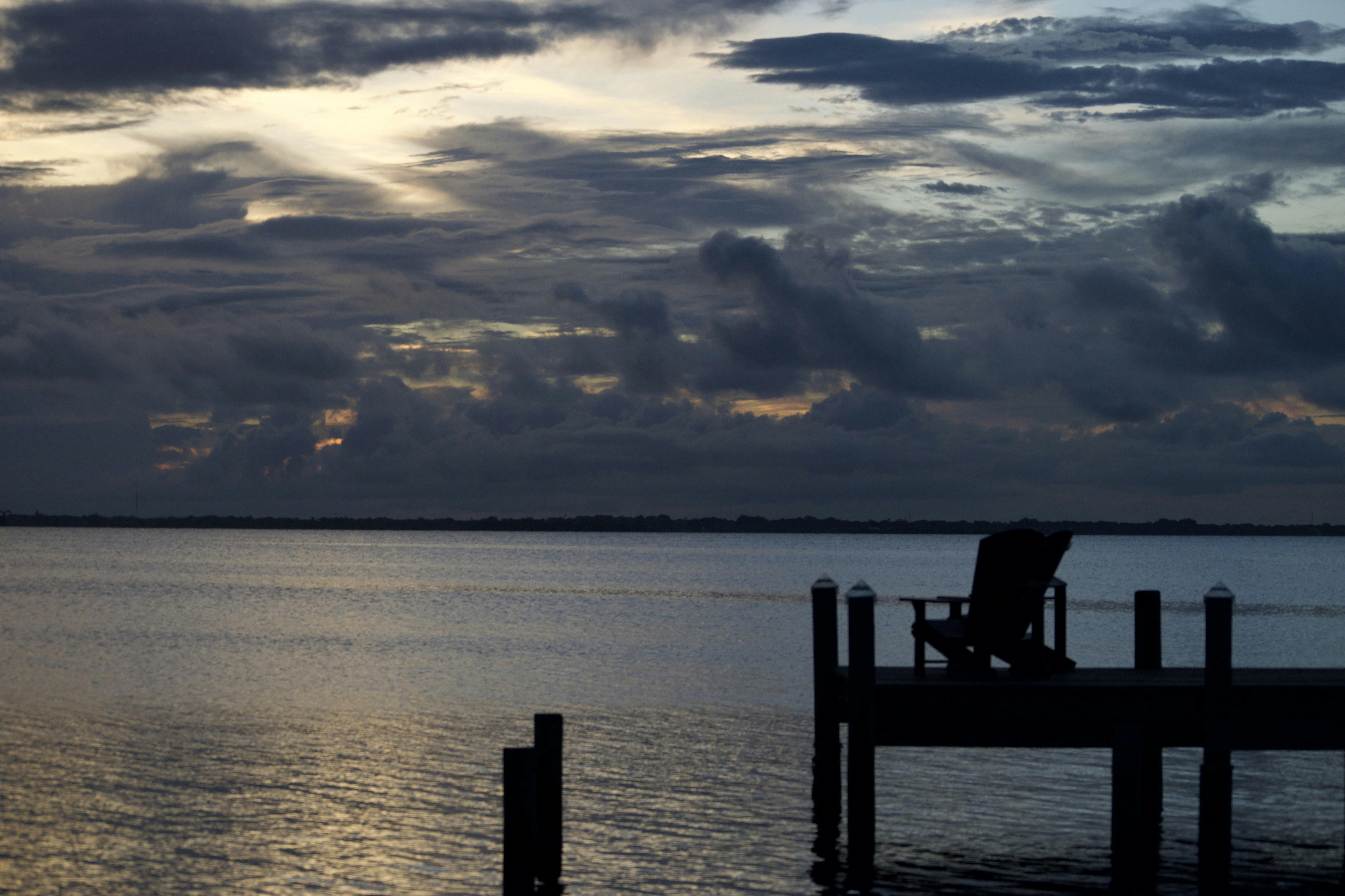 Photo by southernpostralis