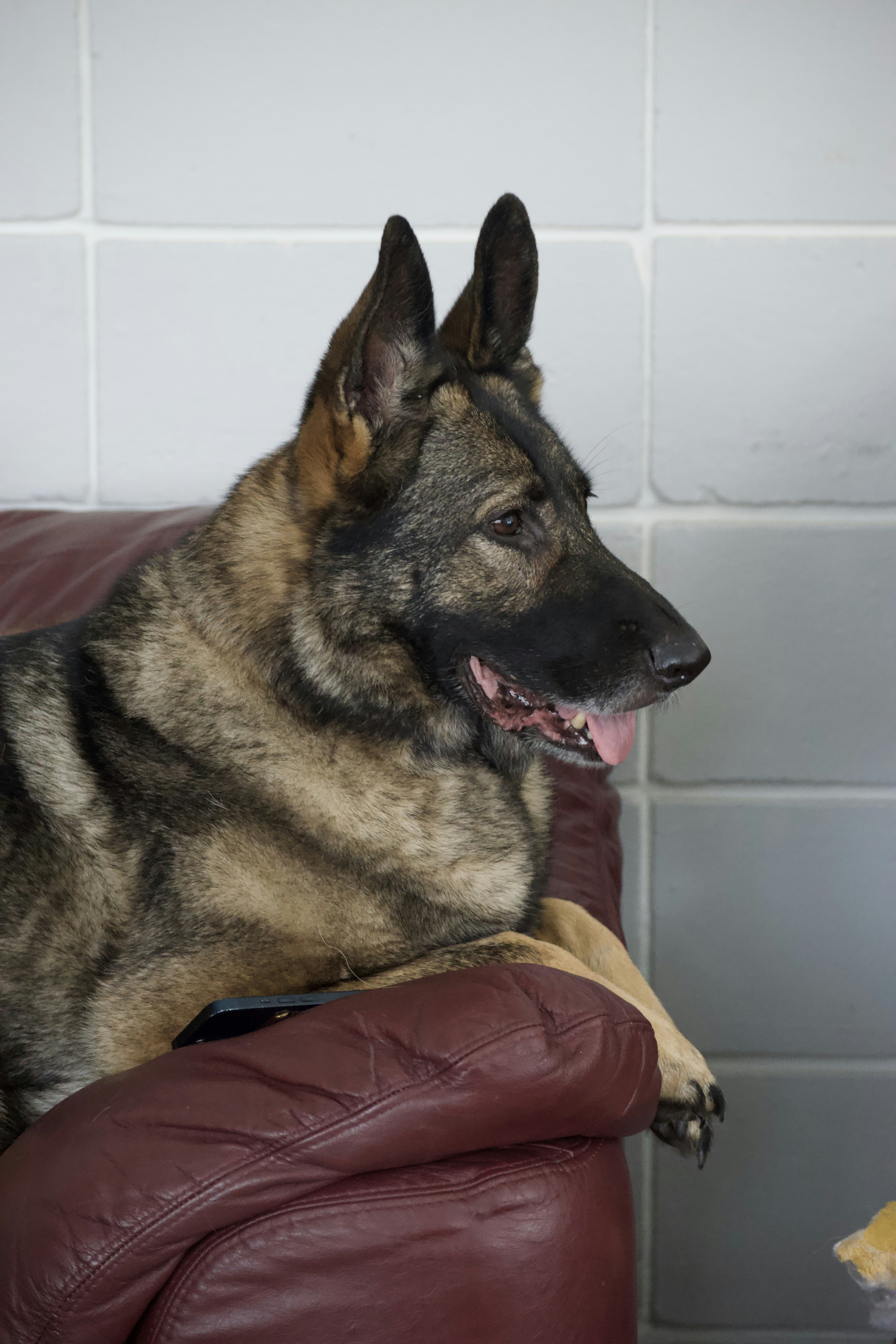 Photo by southernpostralis