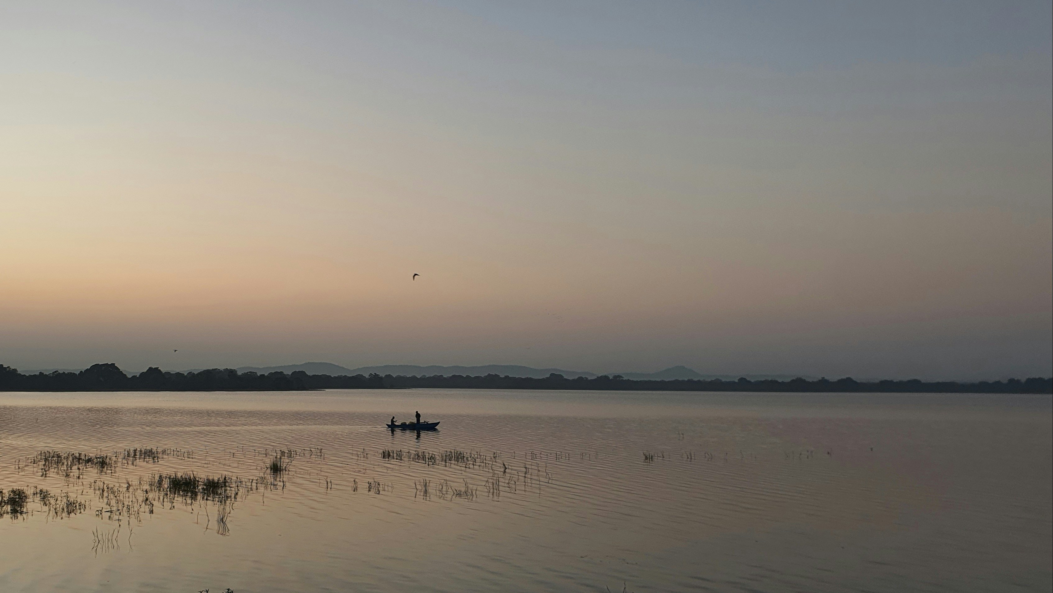 Photo by dmsamarappuli