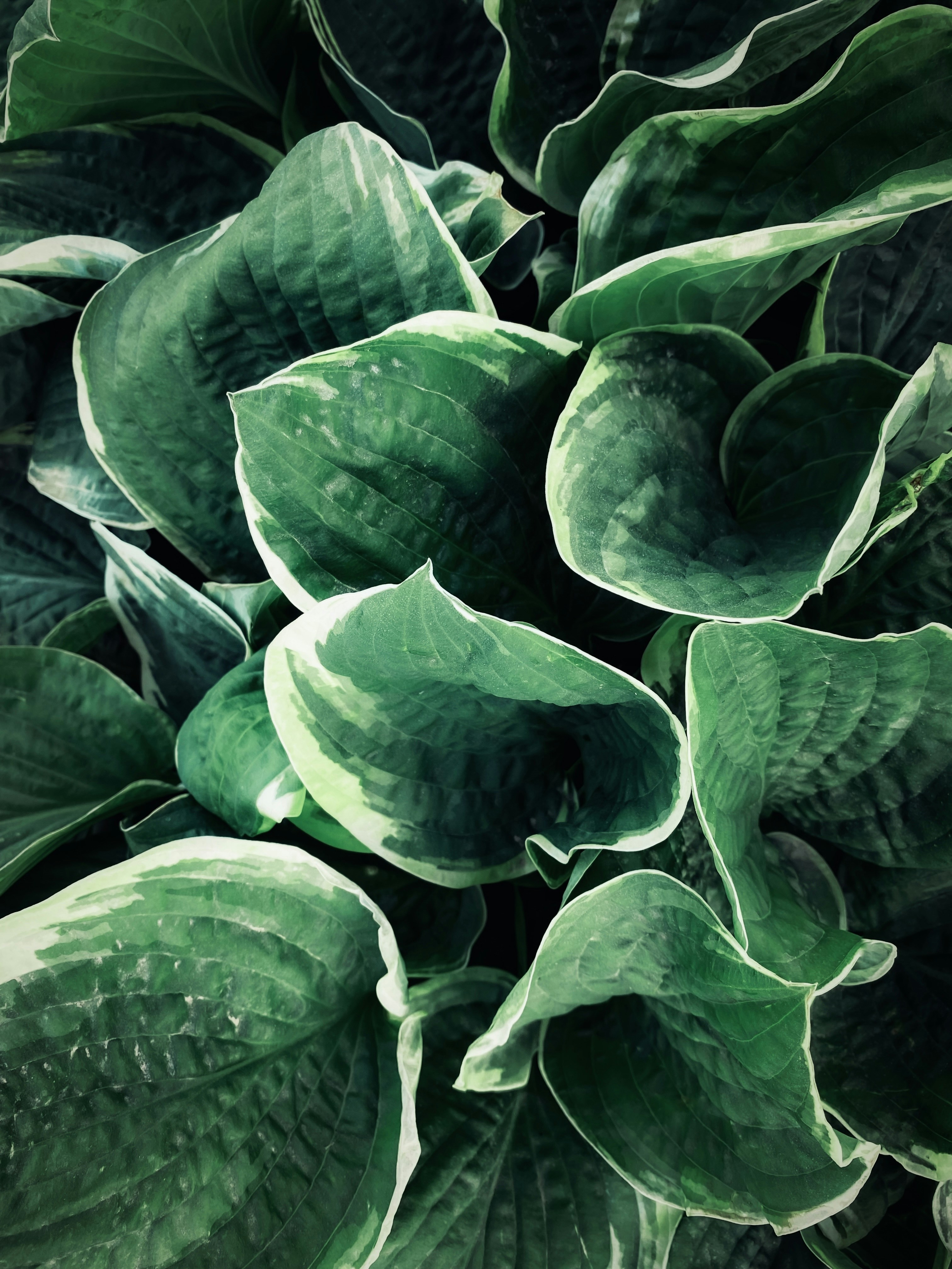 Photo by eugene_golovesov