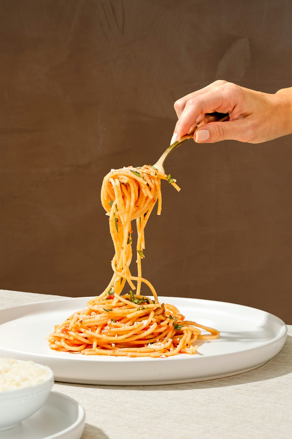 a plate of spaghetti being lifted with a fork