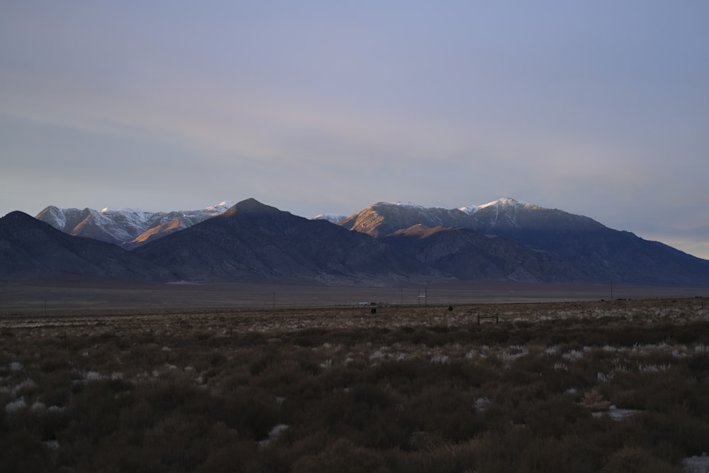 a field with mountains in the background