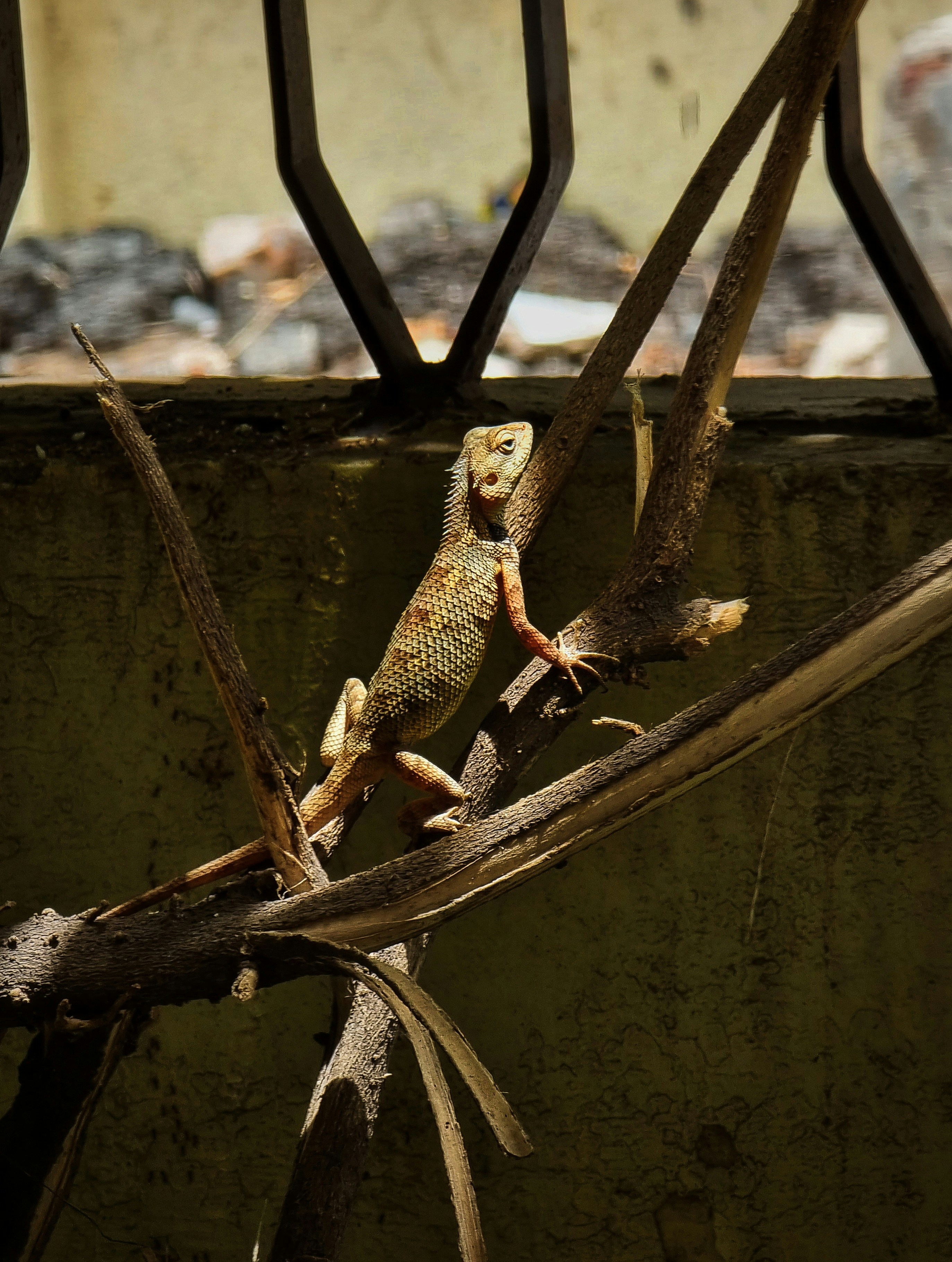 Photo by unsplash_om