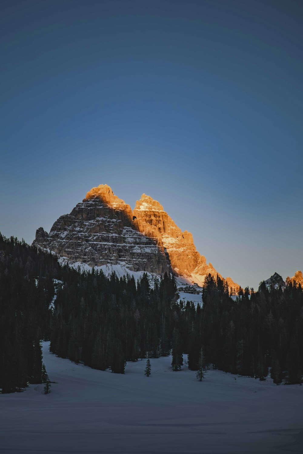 a snow covered mountain with trees in the foreground