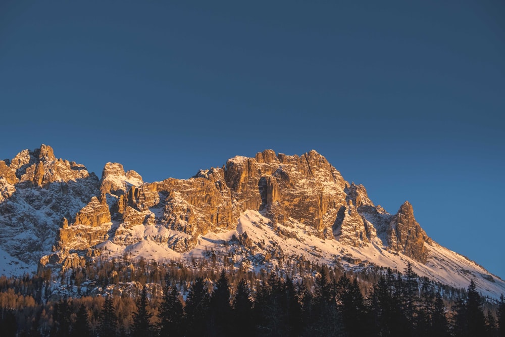 a snow covered mountain with pine trees in the foreground