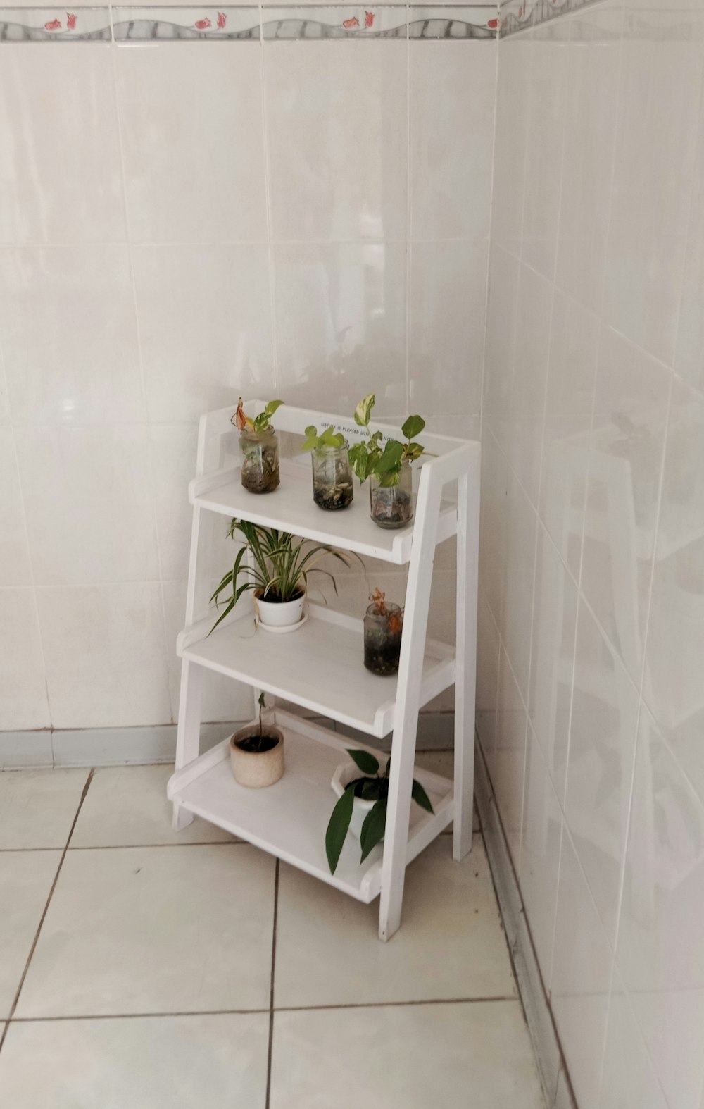 a white shelf with plants on top of it