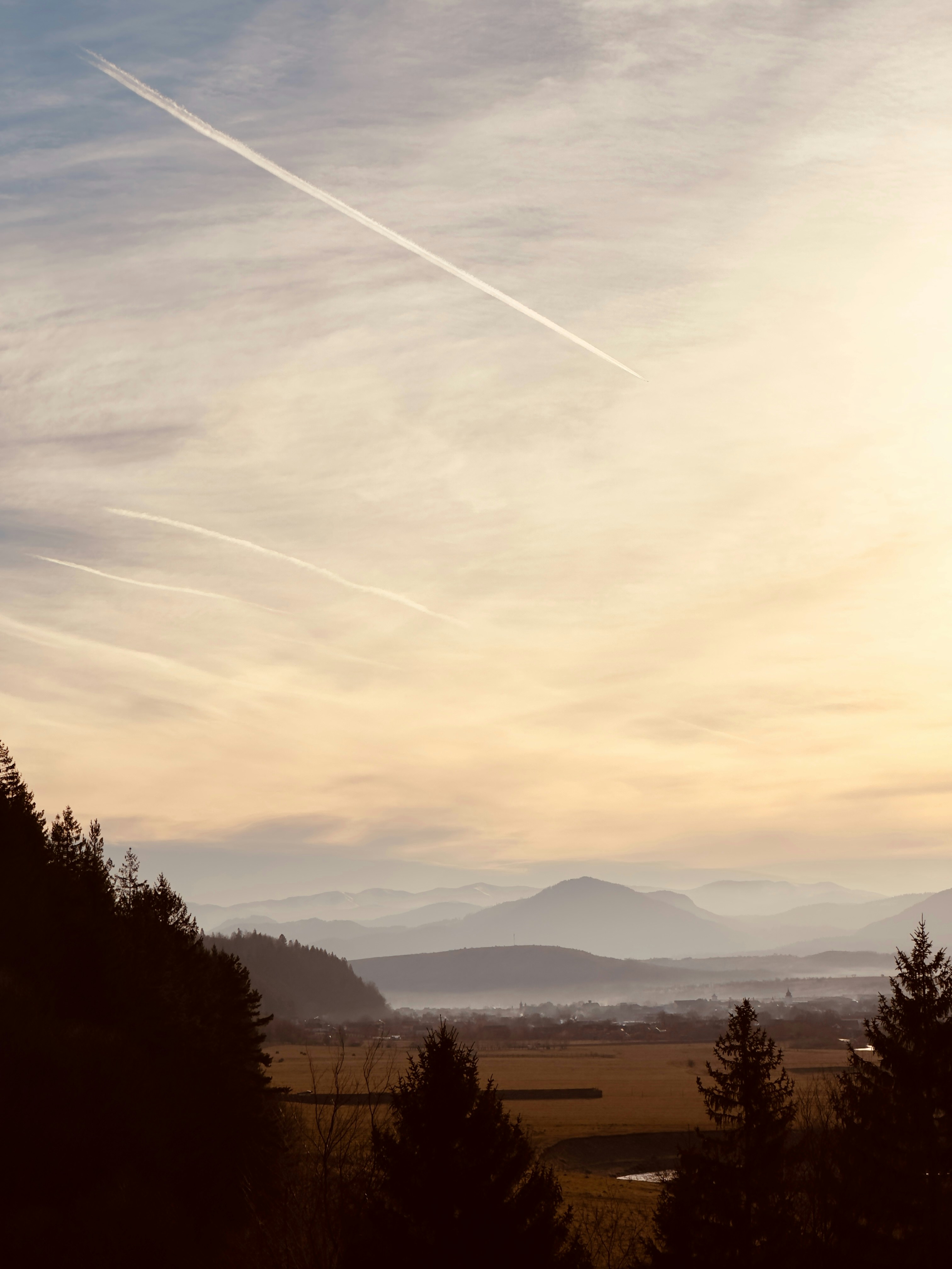 Photo by sarurobert1