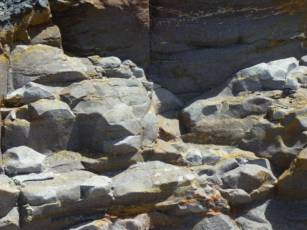 a bird sitting on top of a large pile of rocks