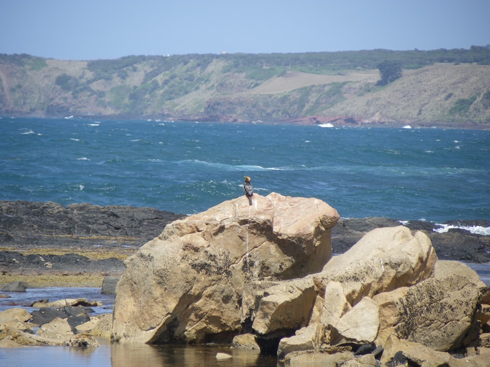 a person standing on top of a large rock near the ocean