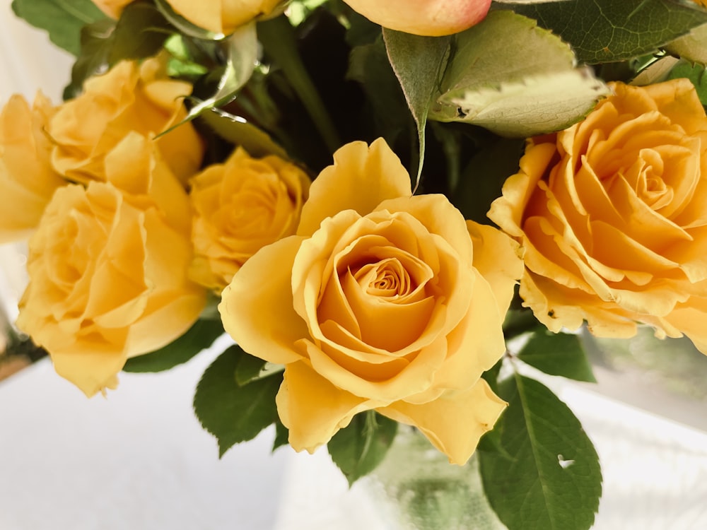 a vase filled with yellow roses on top of a table