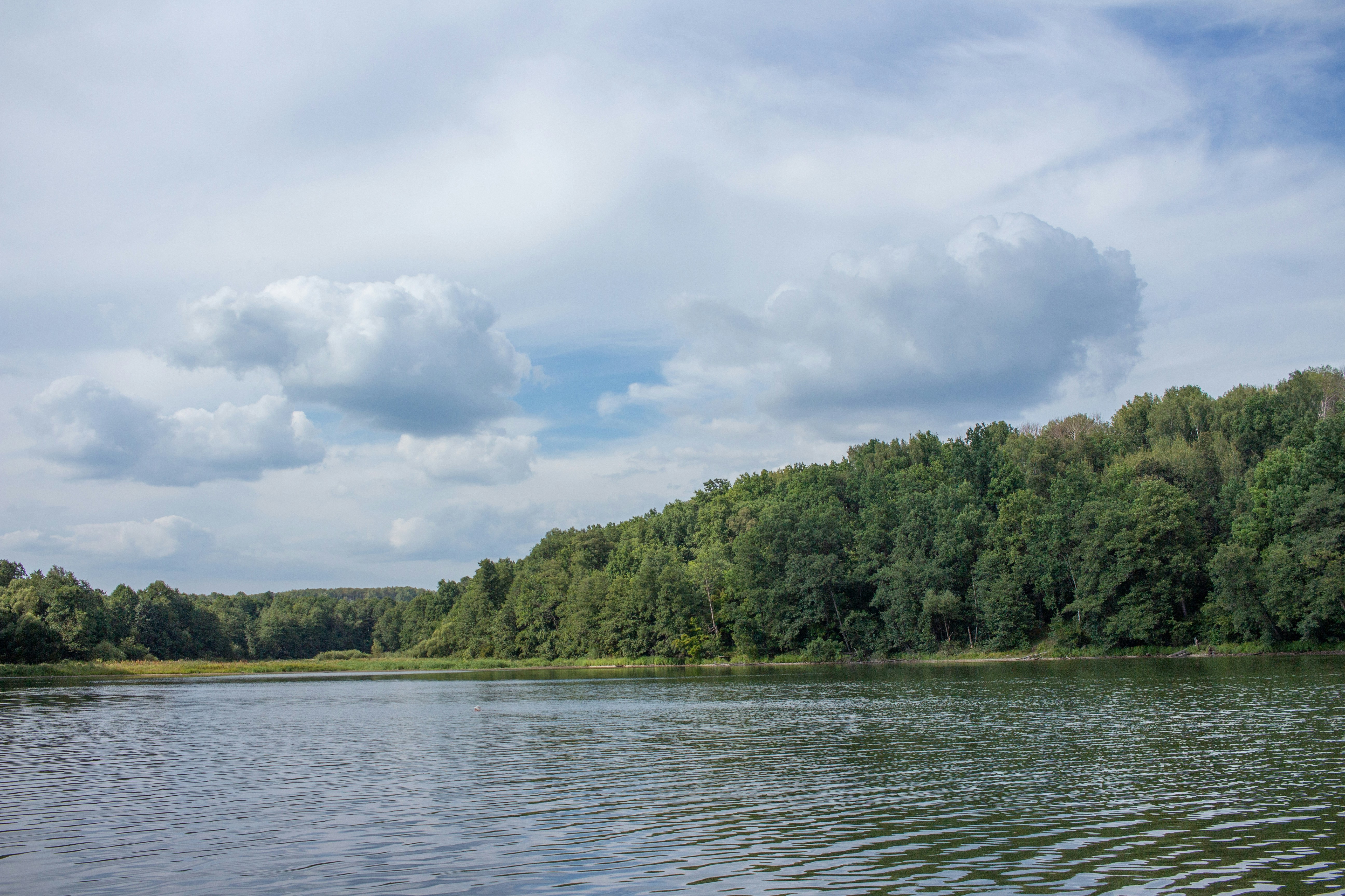 Photo by maksimzaviktorin